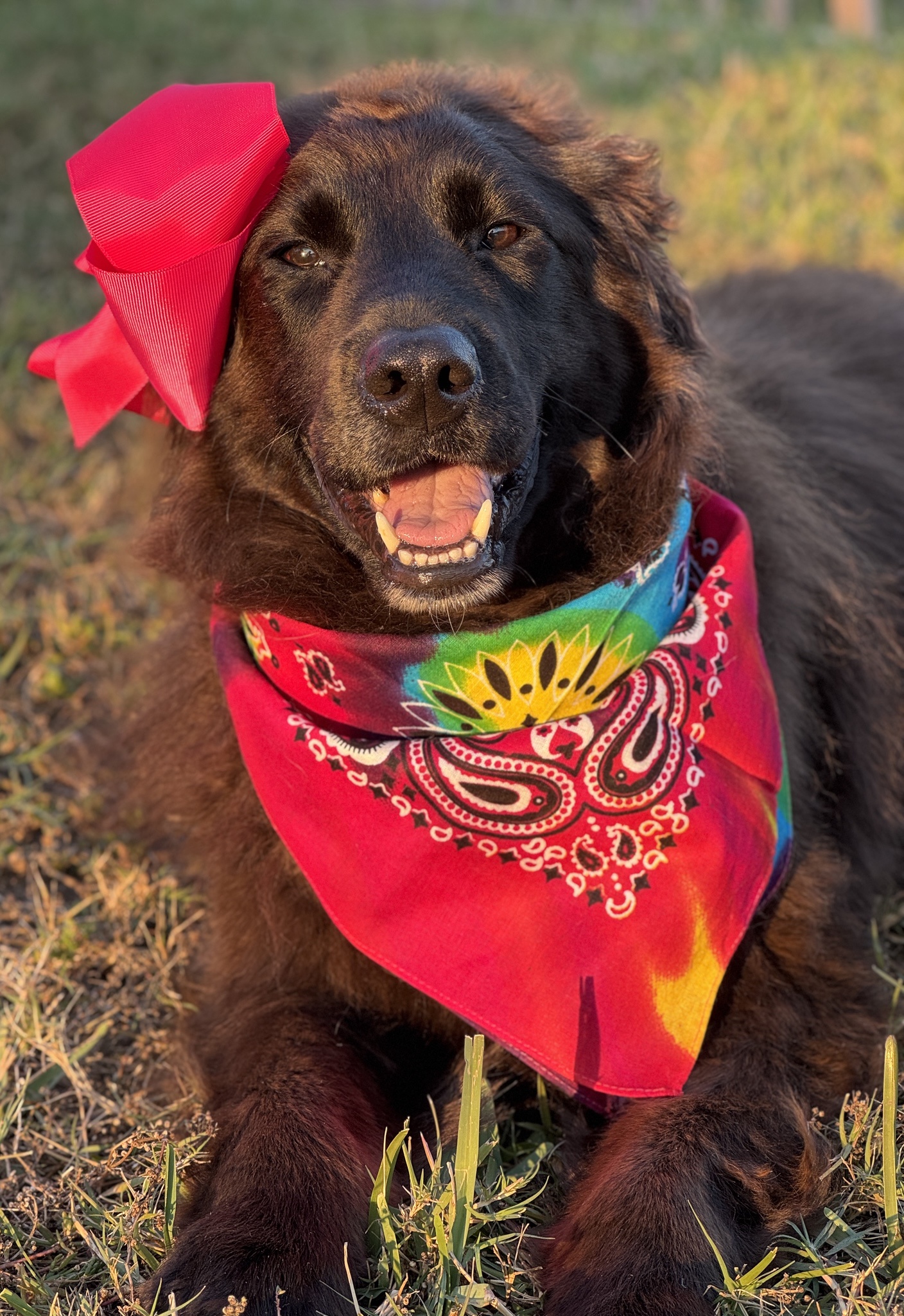 Feeling Cute: Someone's Having a Good Day
