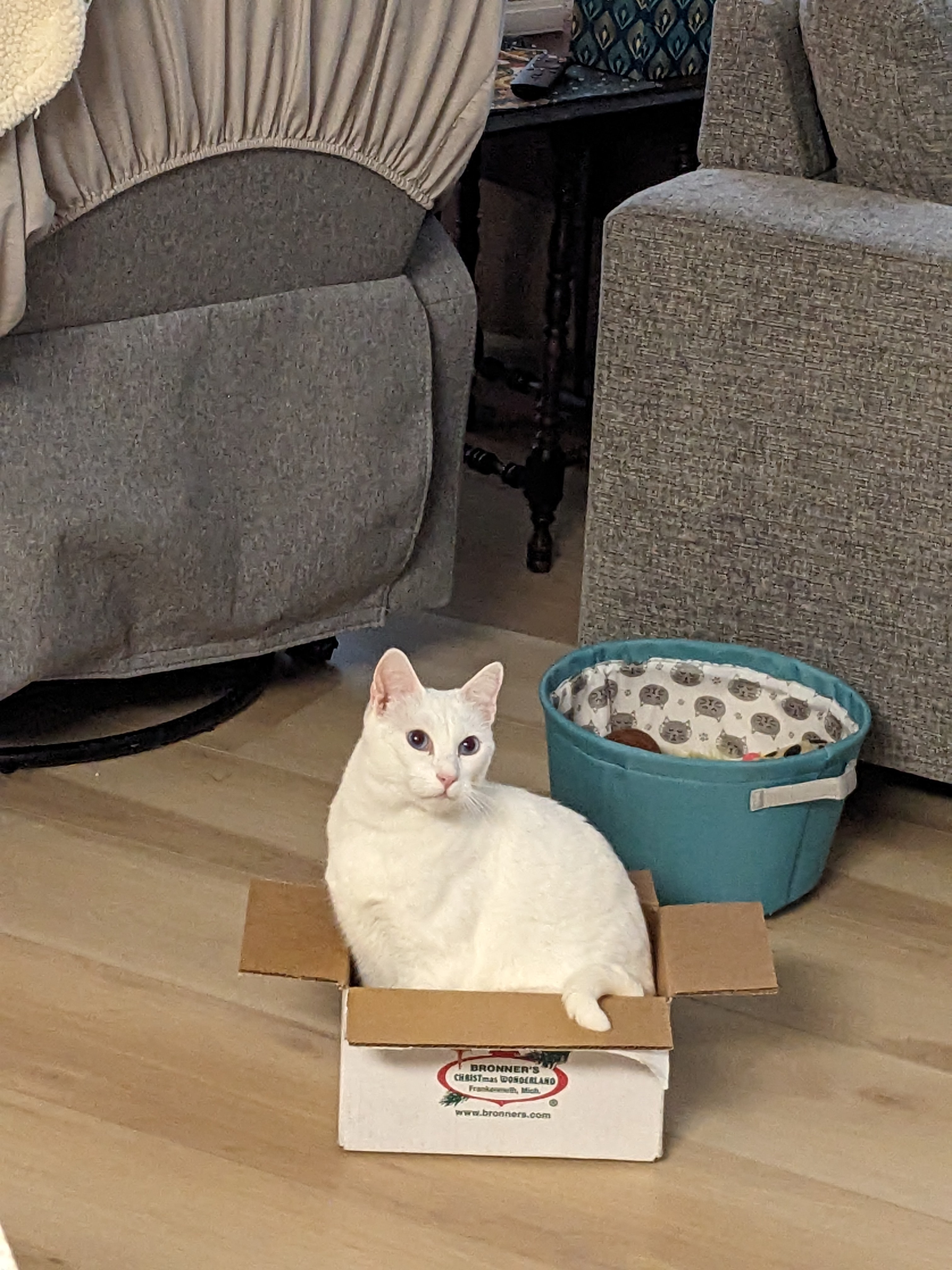 Mouseylocks and Her Four Mysterious Boxes