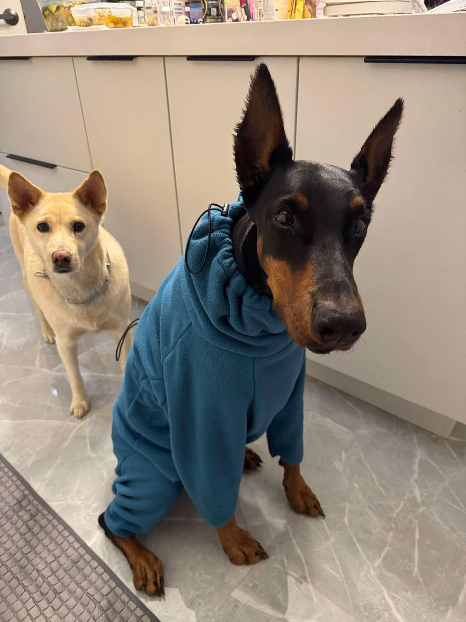 Gracie's Exciting New Winter Coat Reveal!