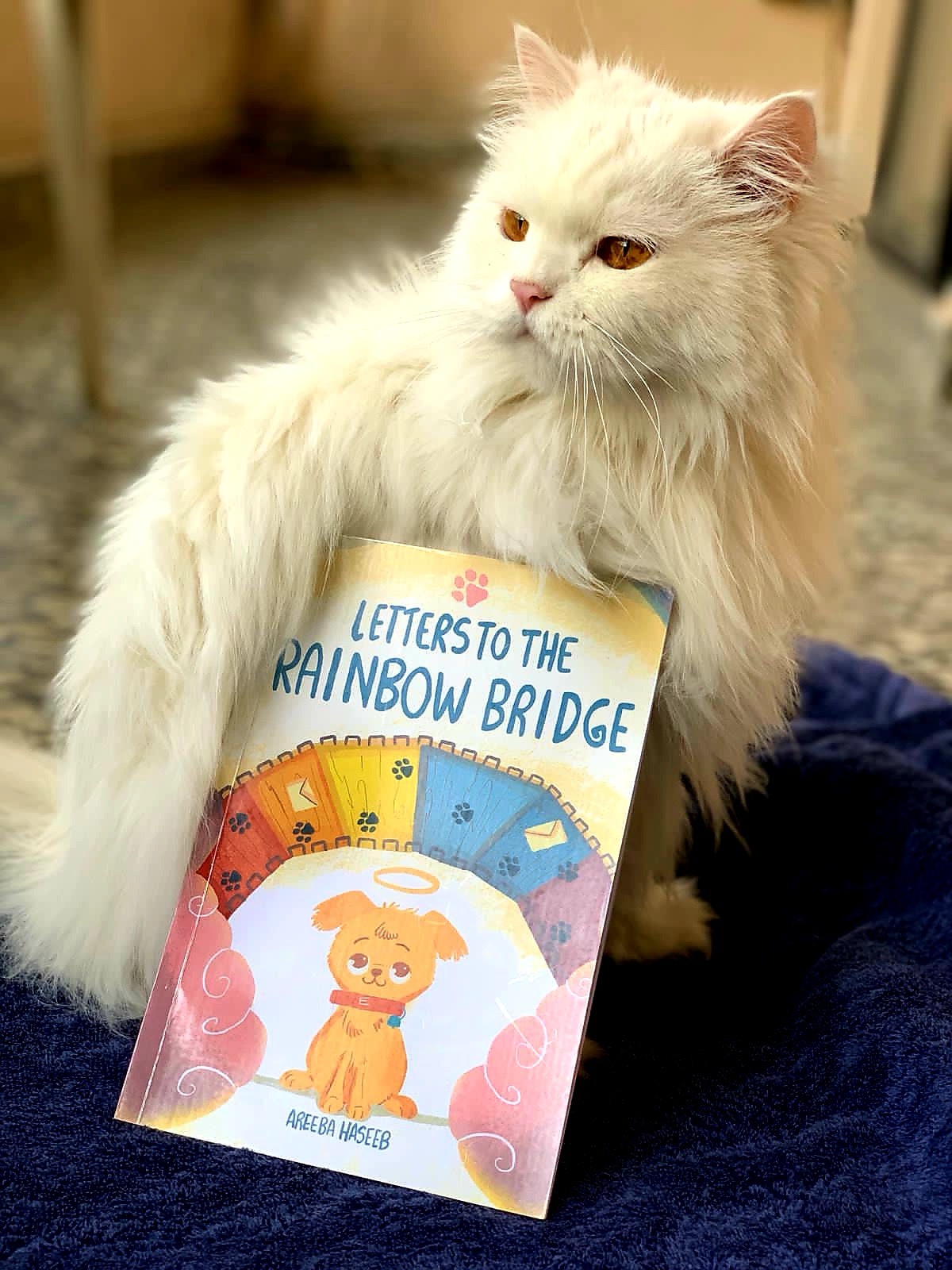 Last year, I captured a moment with Alex and my children's book about pet loss. Shortly after, Alex was taken from me, but this year, he lives on in my book alongside many beloved pets.