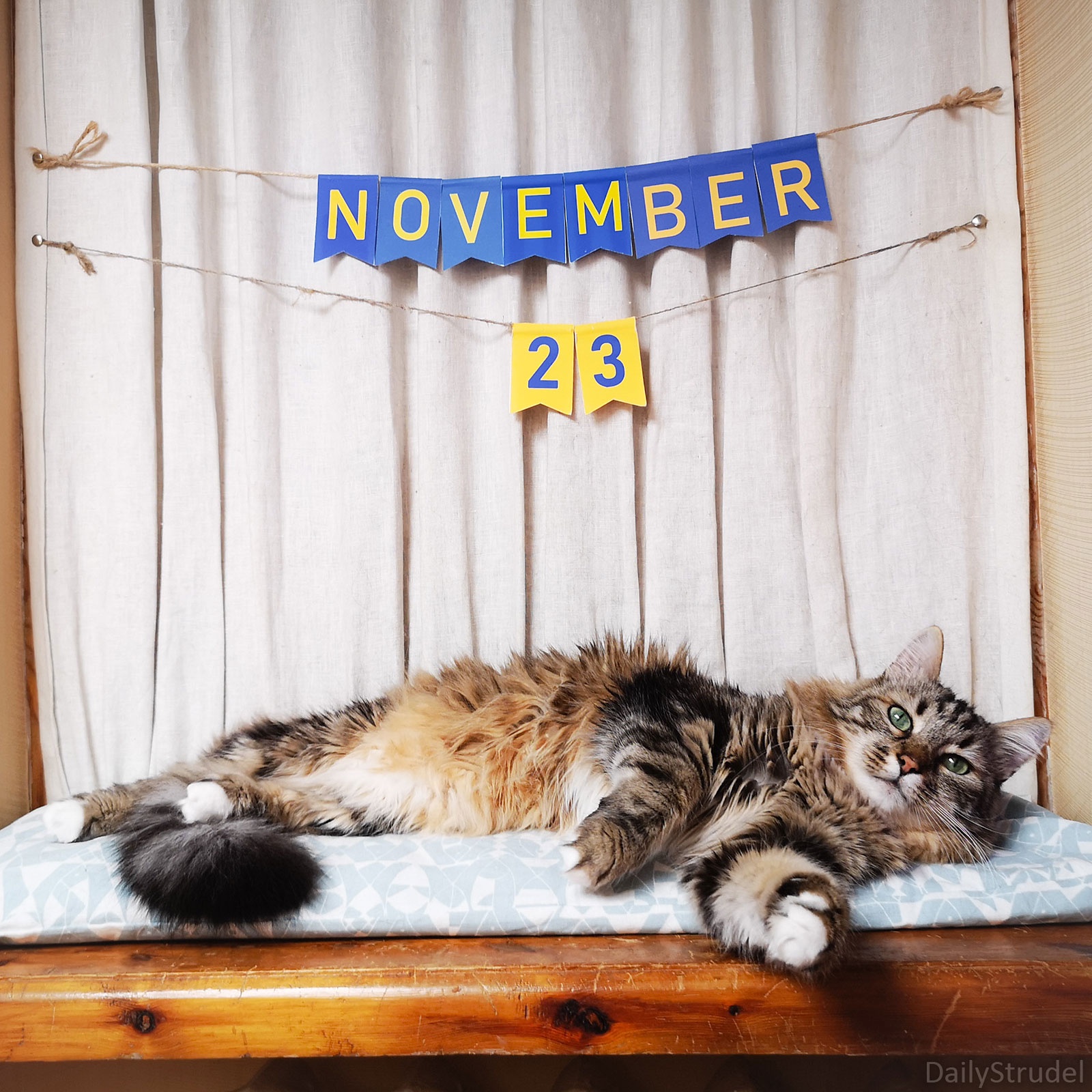 Mark Your Calendars: November 23