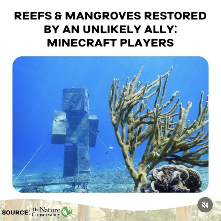 When Gamers Step Up to Save the Planet