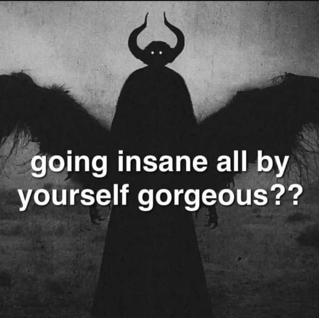 No Christmas Selfie Here, Just a Random Meme Collection Instead