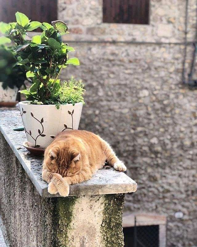 The Monday Blues: Why I Can't Stand This Day!