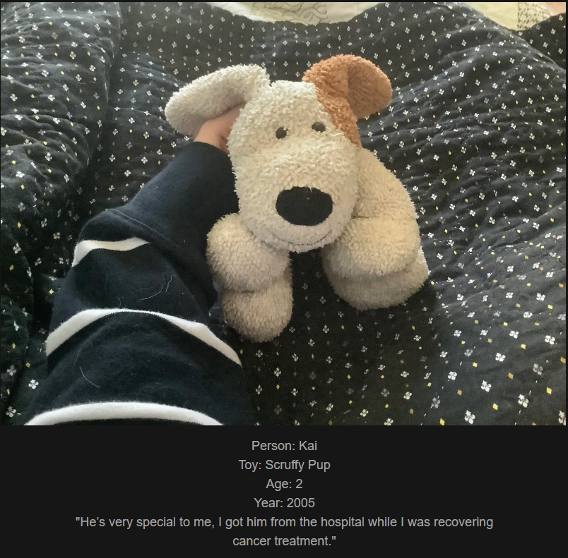 Day 785: Join me on my journey at www.saidtheskinhorse.com, where we celebrate the nostalgic bond with our beloved childhood toys. Meet Scruffy Pup, our latest furry friend!