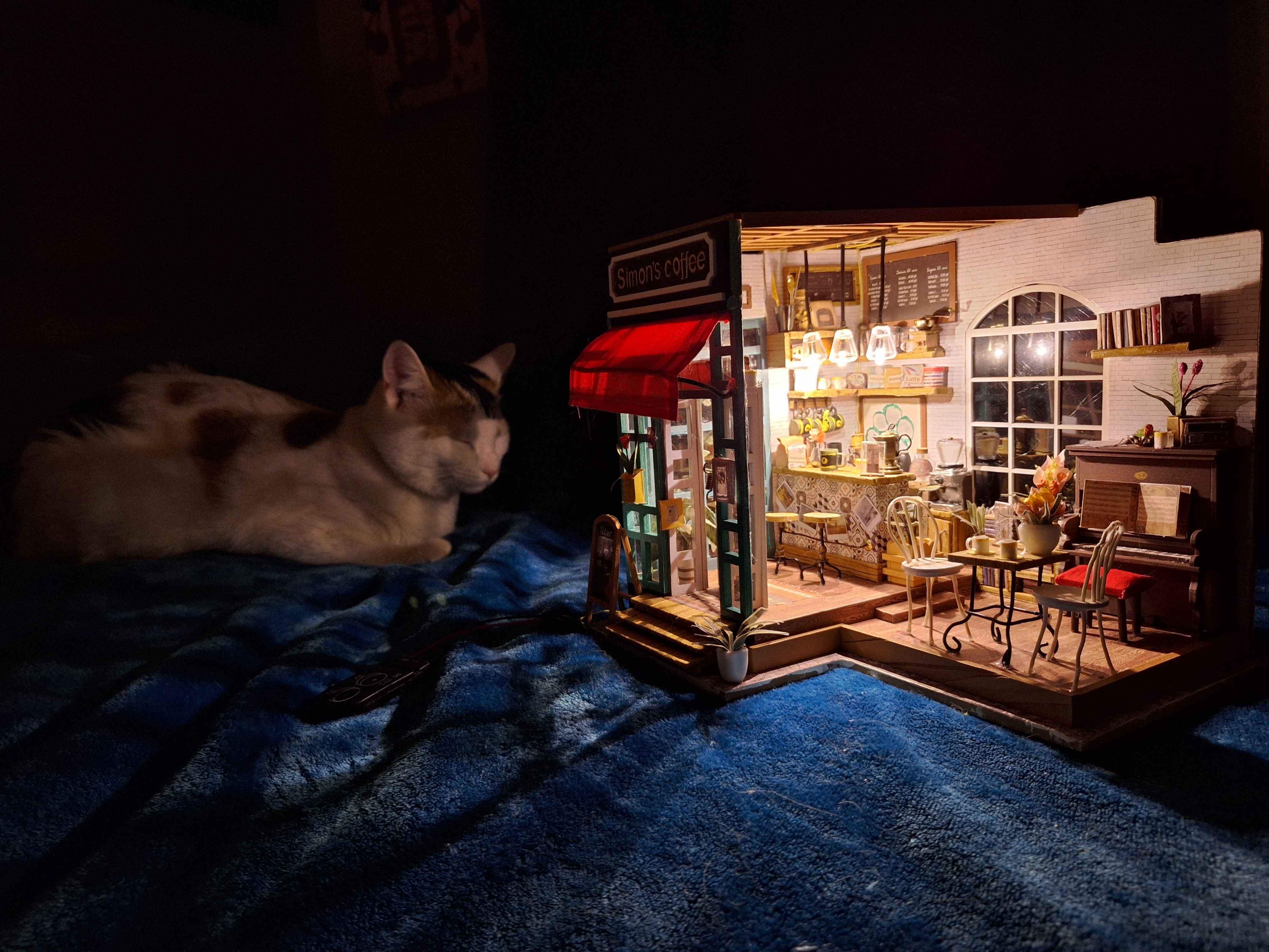 A Tiny Coffee Shop Perfect for a Mouse's Delight