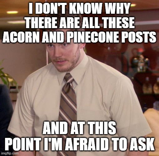 Acorns and Pinecones: What Are They Really?