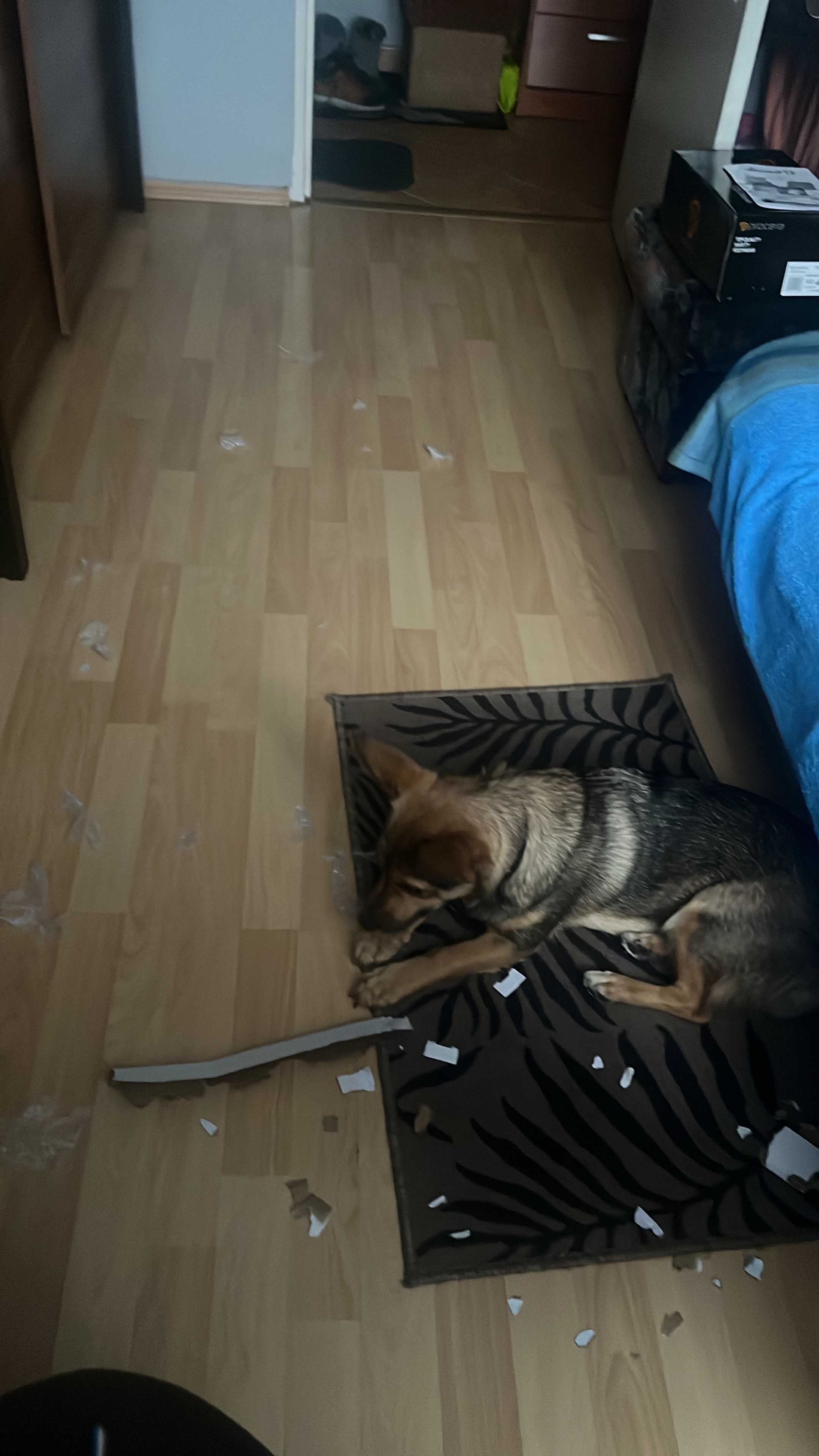 The Chaos I Created