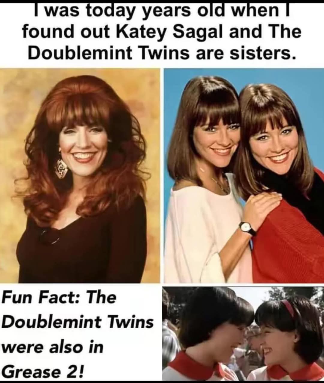 Honestly, I Had No Idea There Was Only One Pair of Doublemint Twins