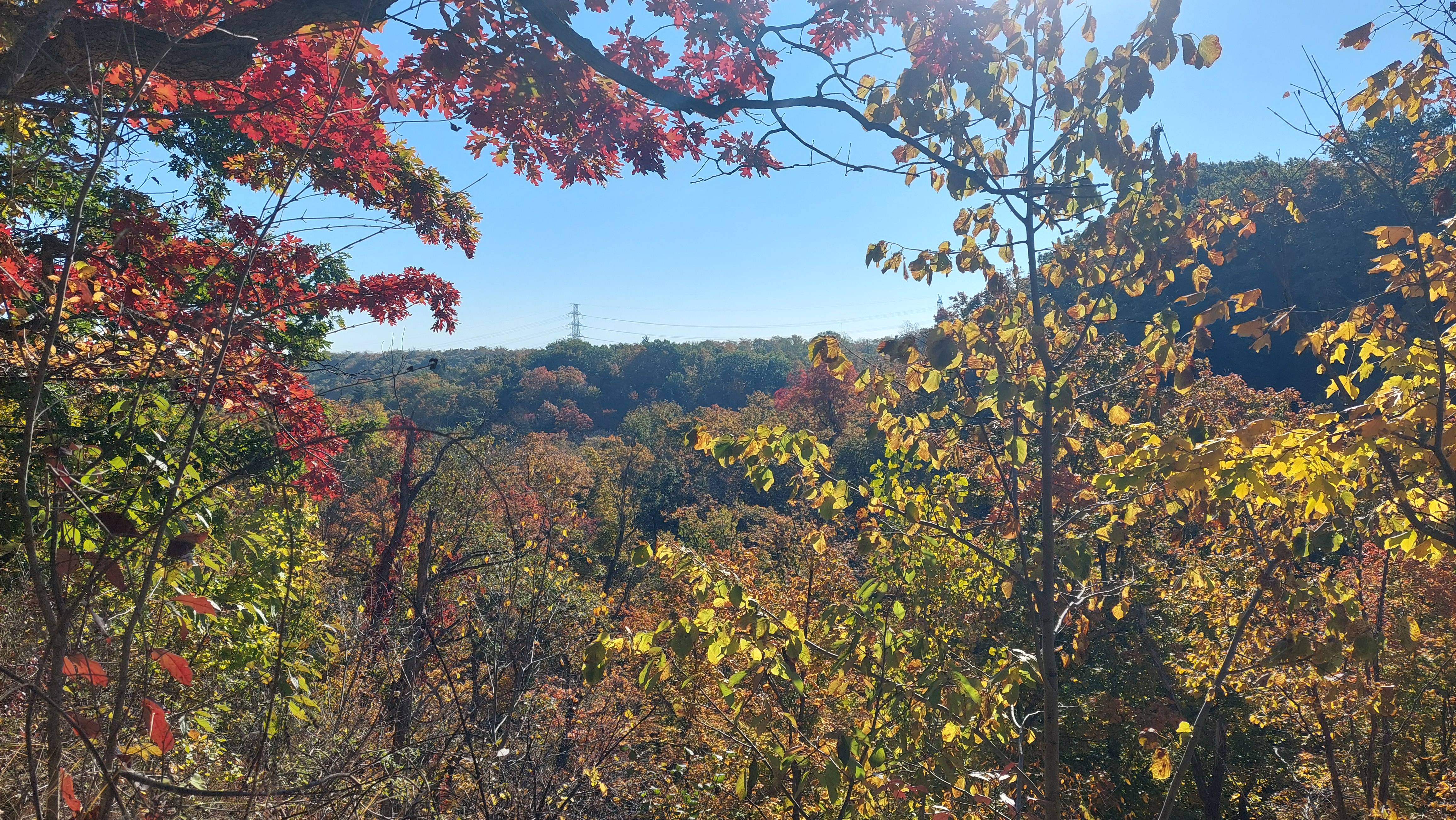 The Vibrant Colors of Hamilton: A Visual Delight