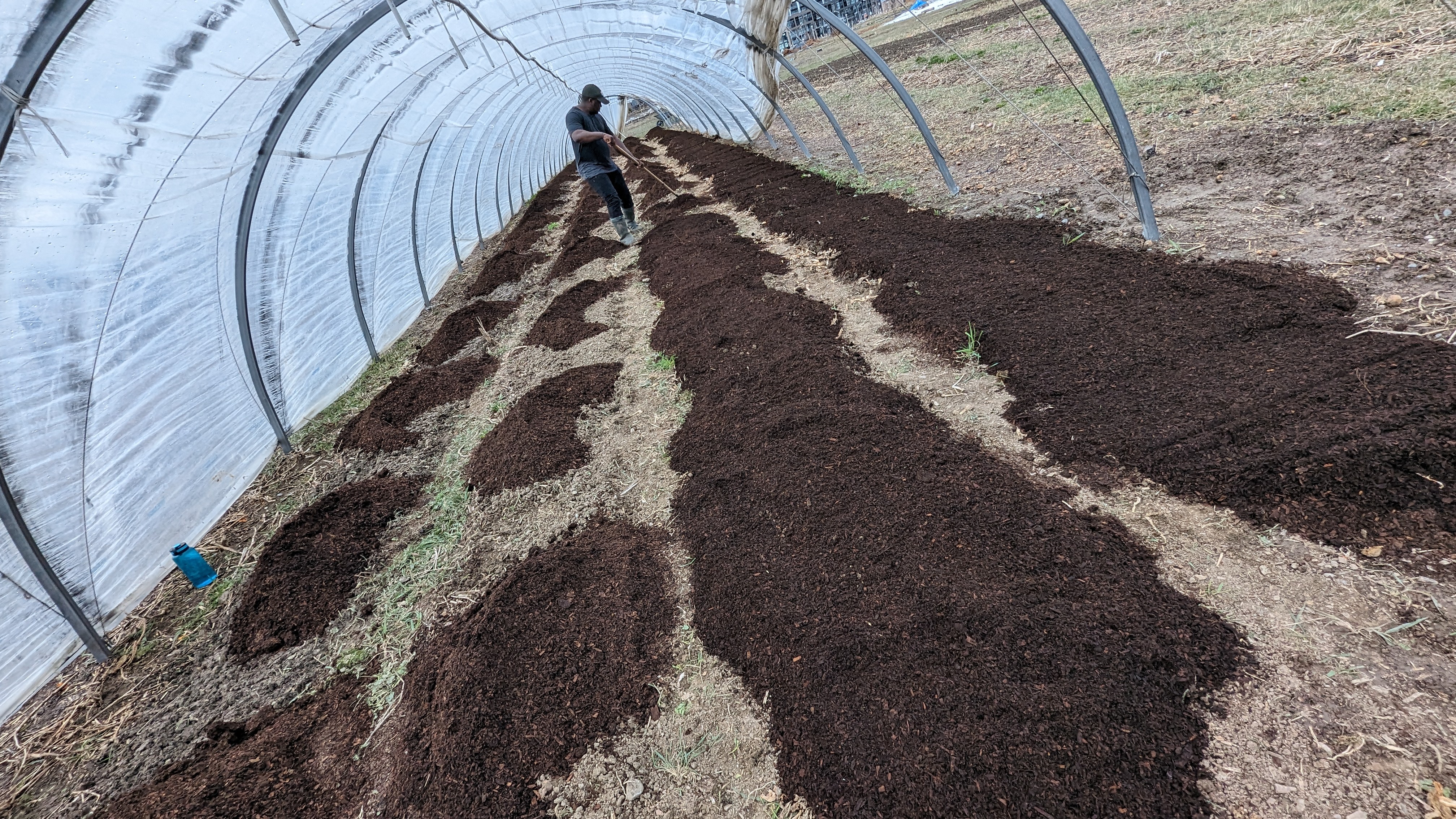 Let me tell you a story about urban farming in Toronto after eight years.