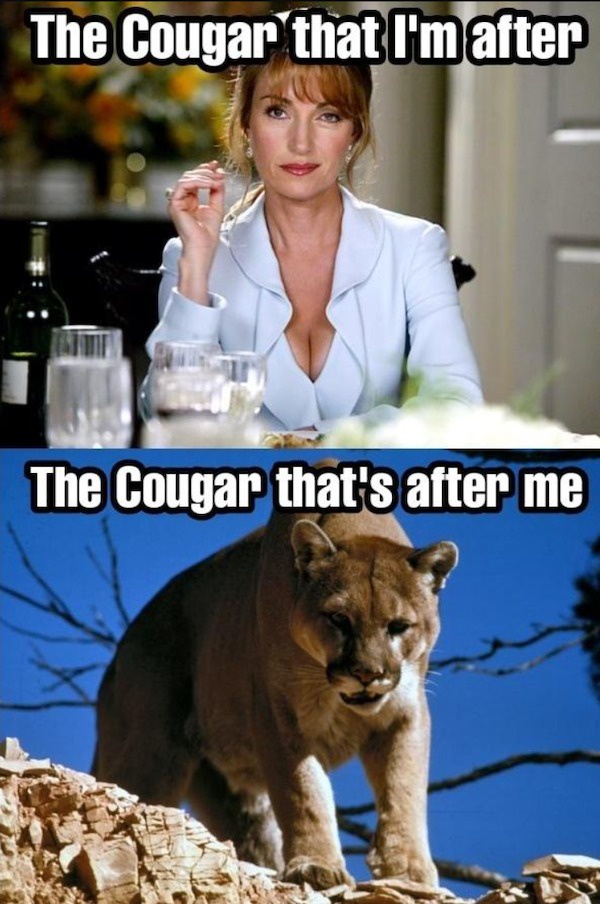 A Hot Cougar is Just Around the Corner