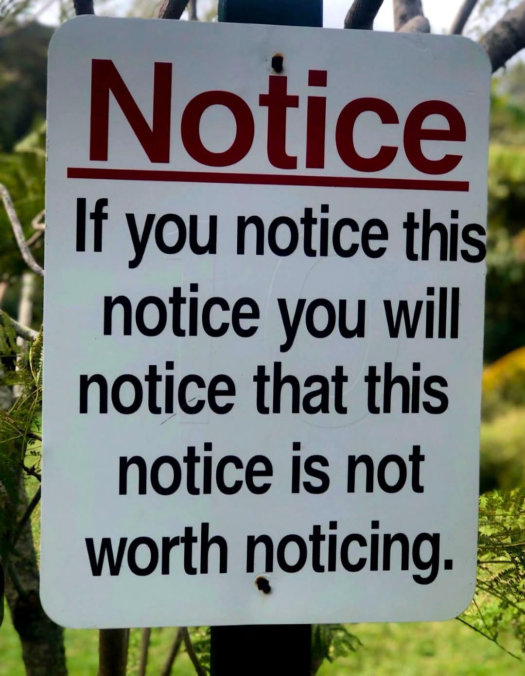 Pay attention to the notice at hand!