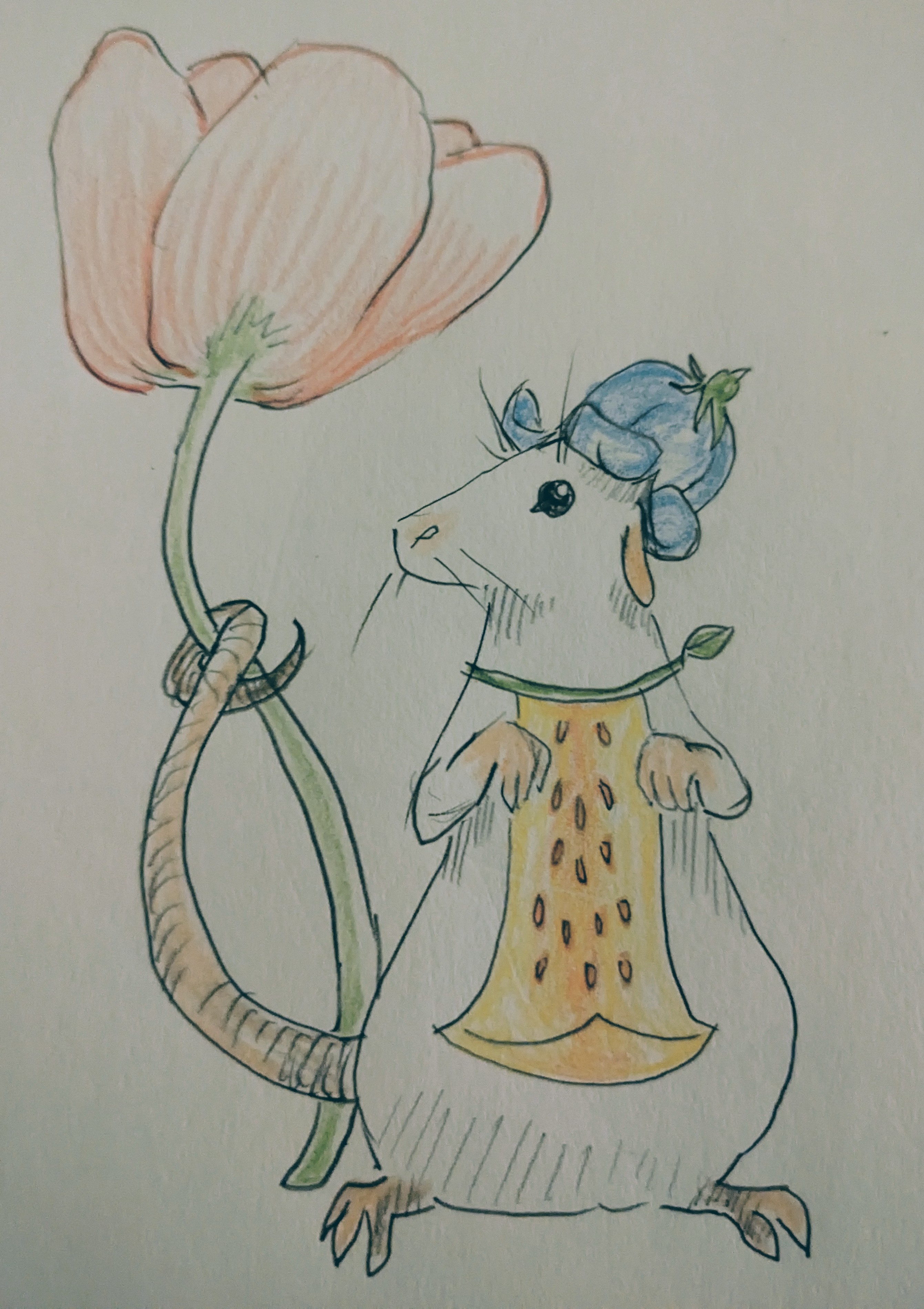 Daily Sketches for a Healthier Mind