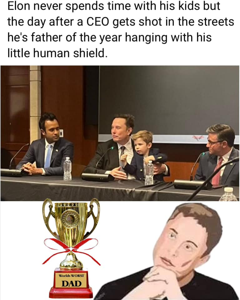 Elon Musk's Protective Shield