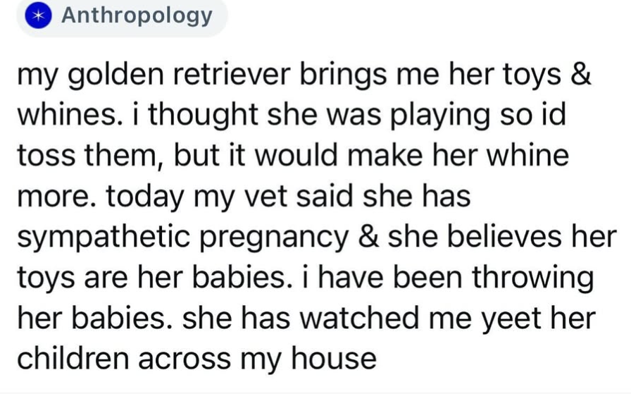 Witnessing the Hilarious Moments of a Mom Yeeting Her Kids Across the Living Room