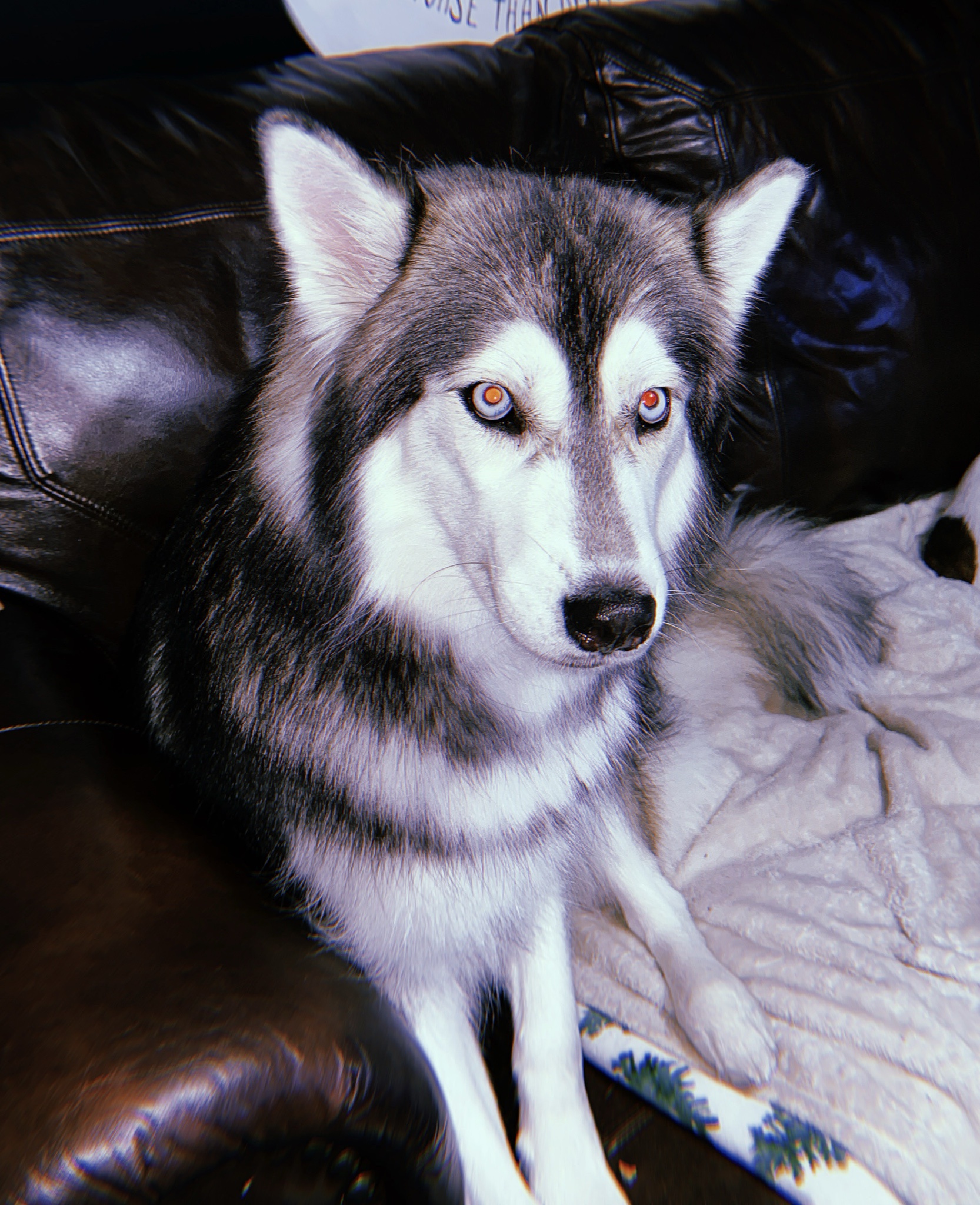 Introducing Aleu!