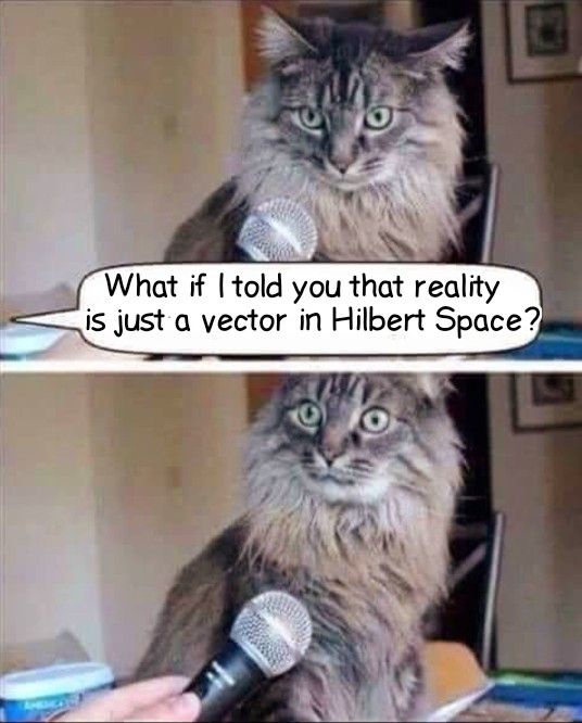 A Cat's Deep Thoughts on Quantum Reality
