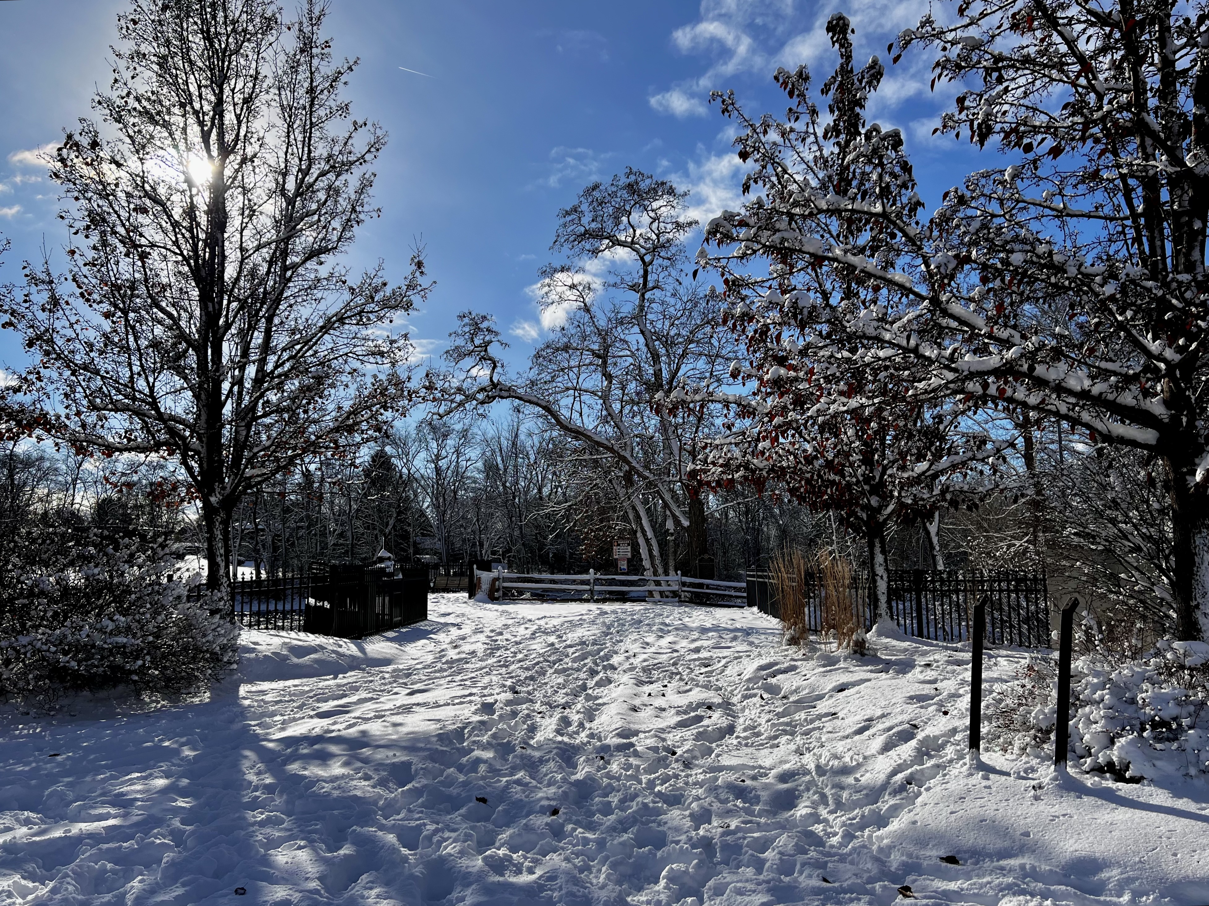 Snow: The Best Part of Winter Bliss