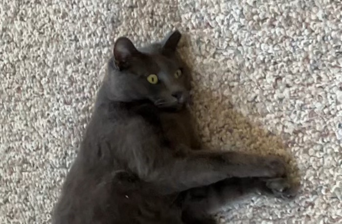 Daily dose of snick pic #47!