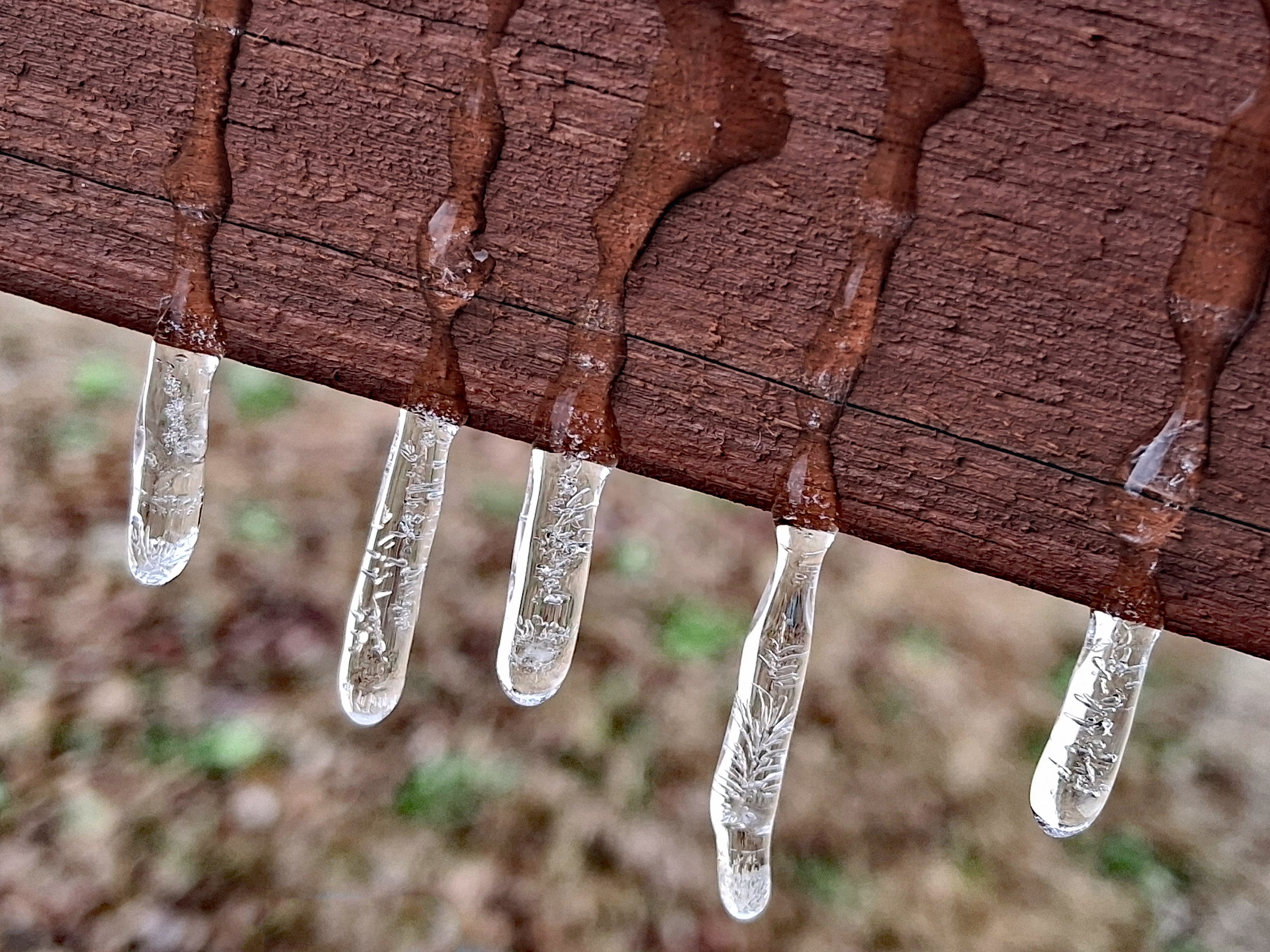 Adorable Mini Icicles: Nature's Tiny Sculptures