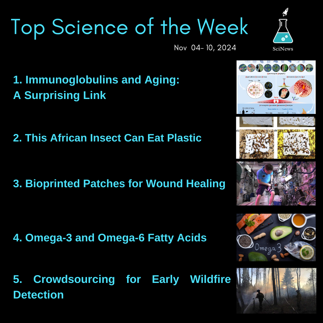 Here are the top science headlines from Nov 04 - 10, 2024.