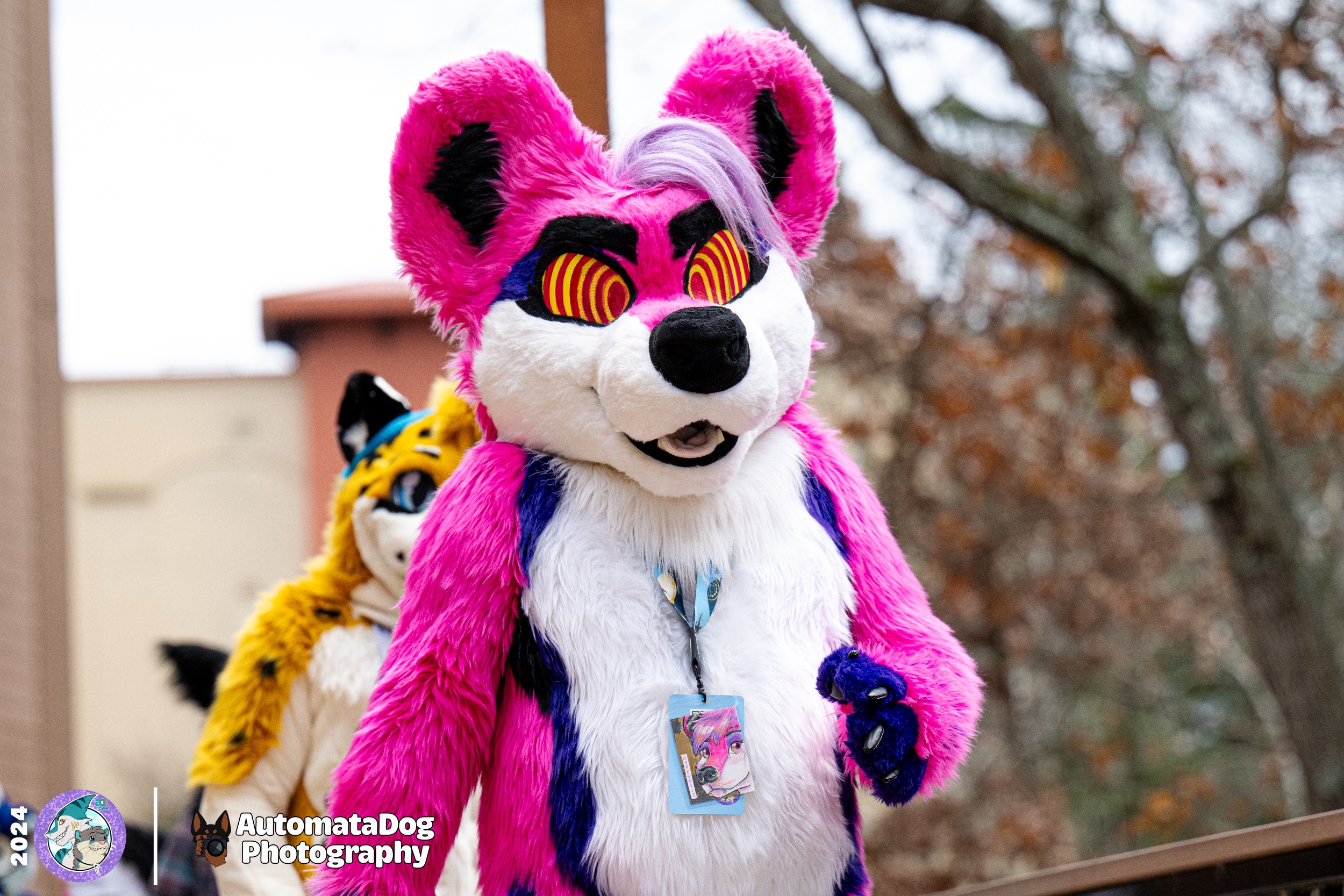 A Furry Photographer's Daily Snapshot - Day 462