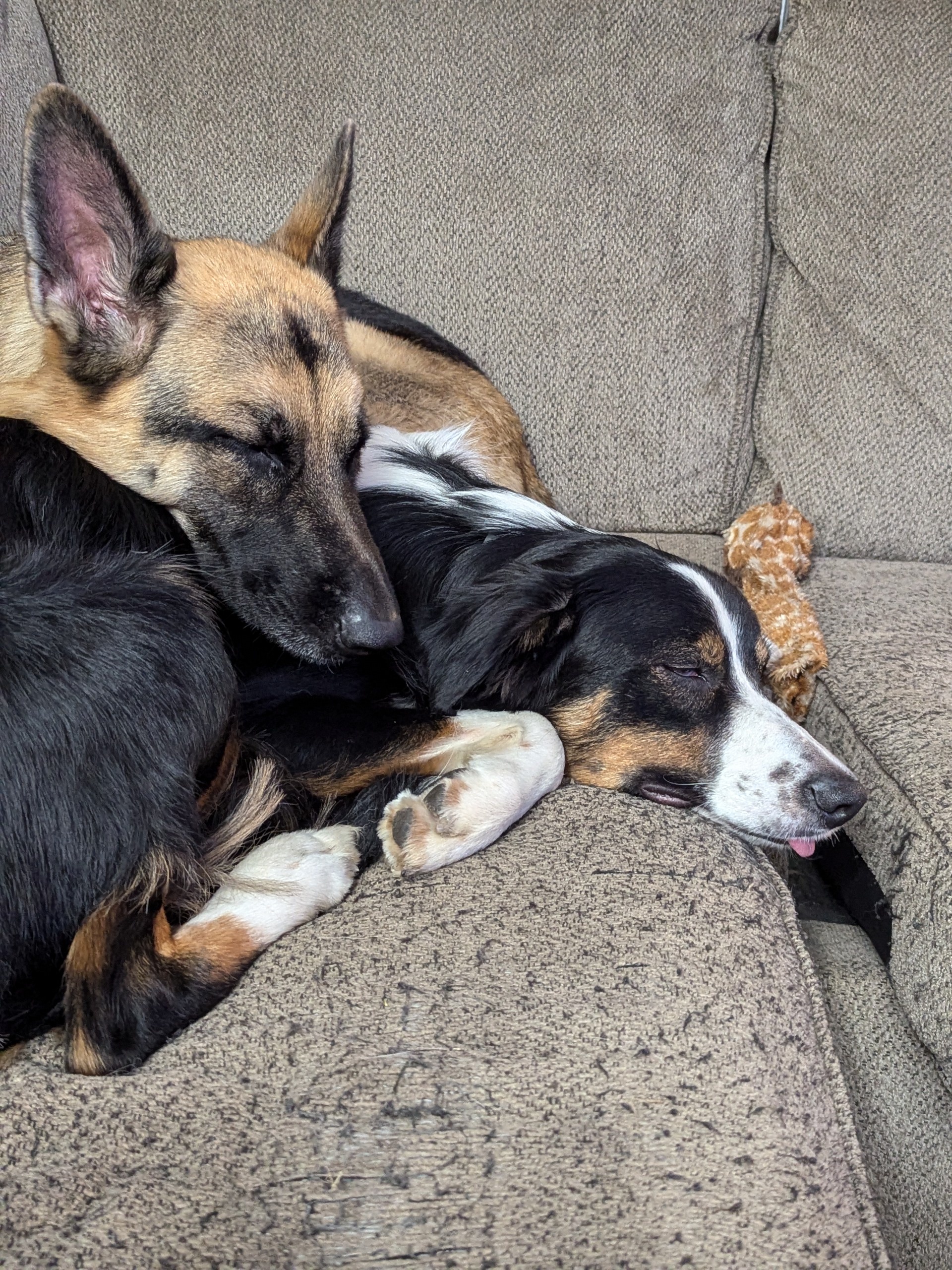 Daisy up top, Yoshi down below - a perfect duo!