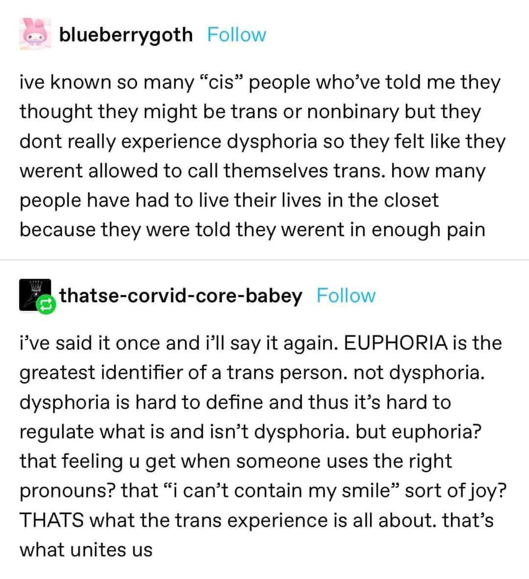 The Joy of Gender Euphoria