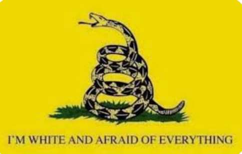 Unveiling the True Meaning Behind the Flag!