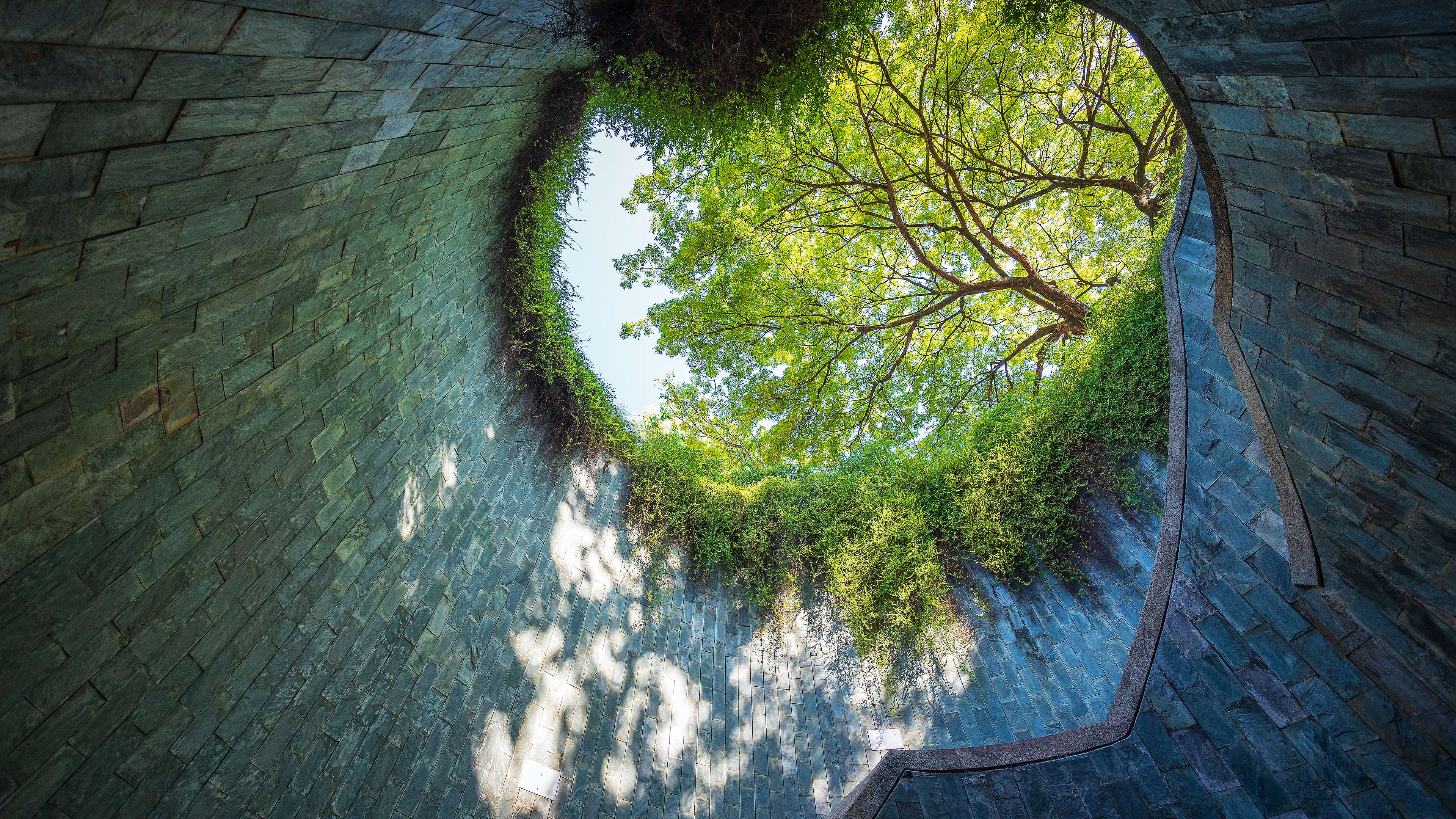 A secret tunnel leading straight to the trees!