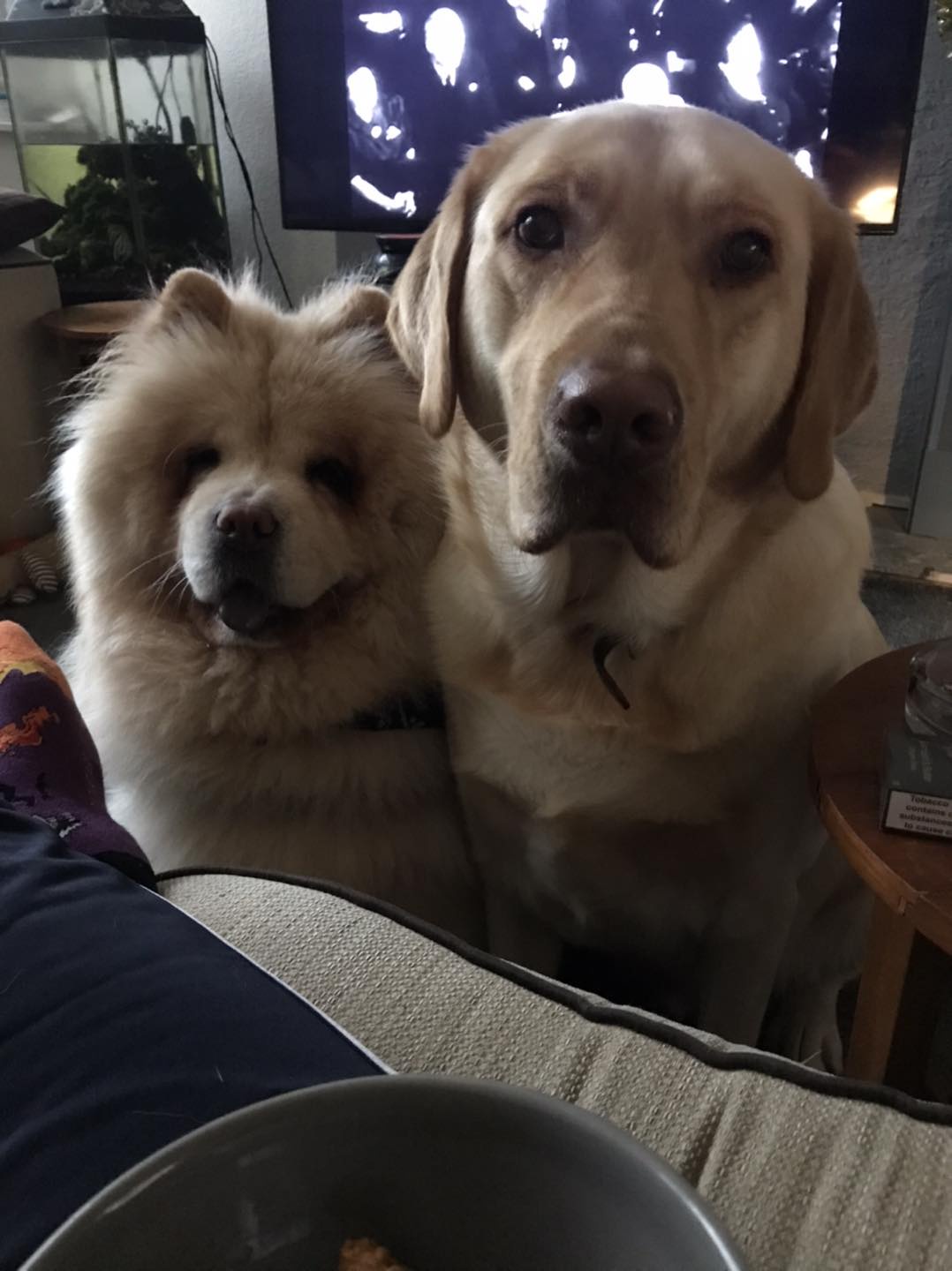 Can We Please Visit the Park? A Plea for Outdoor Fun