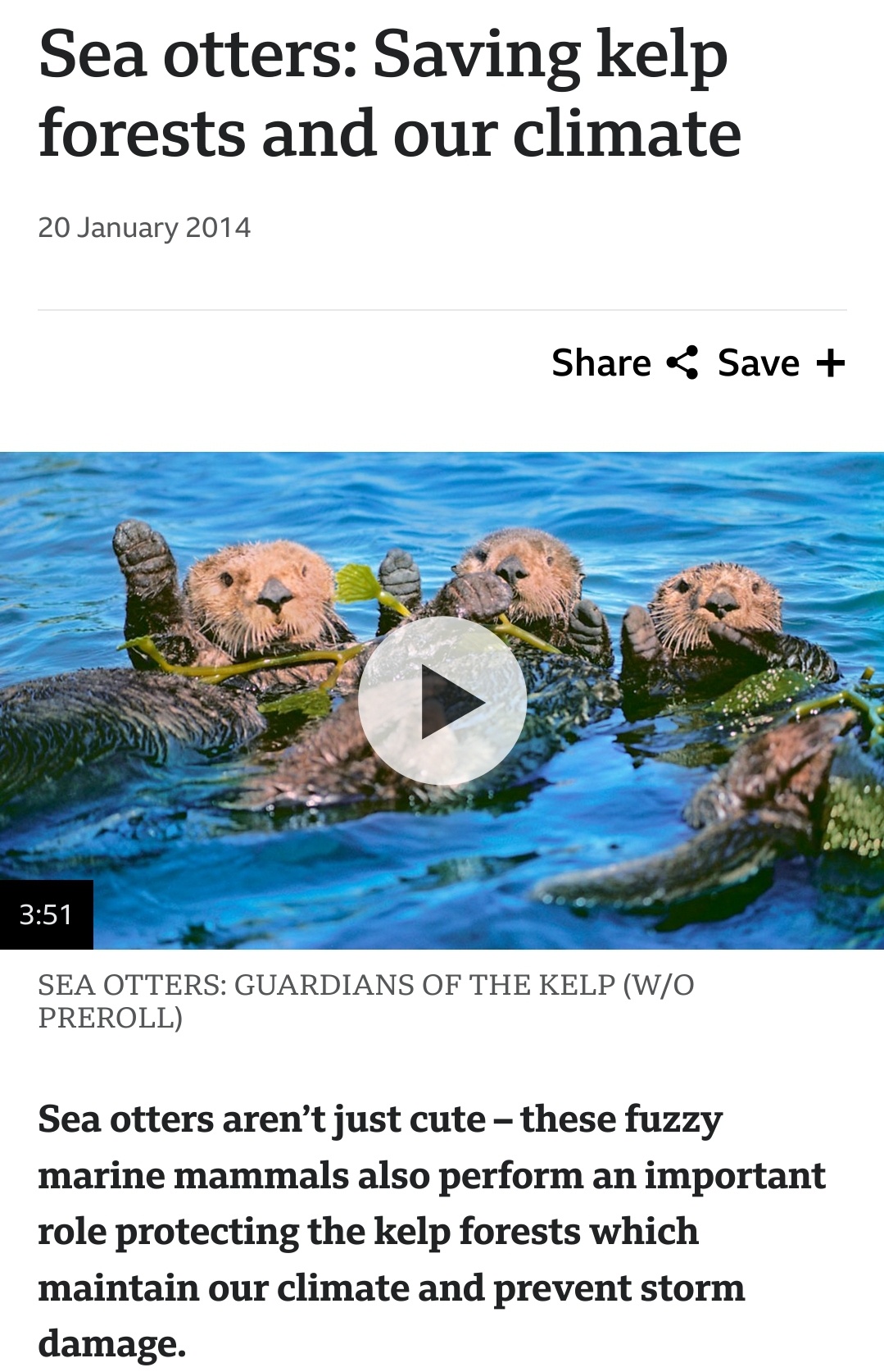 Celebrating Sea Otter Awareness Week and Wildlife Conservation Day