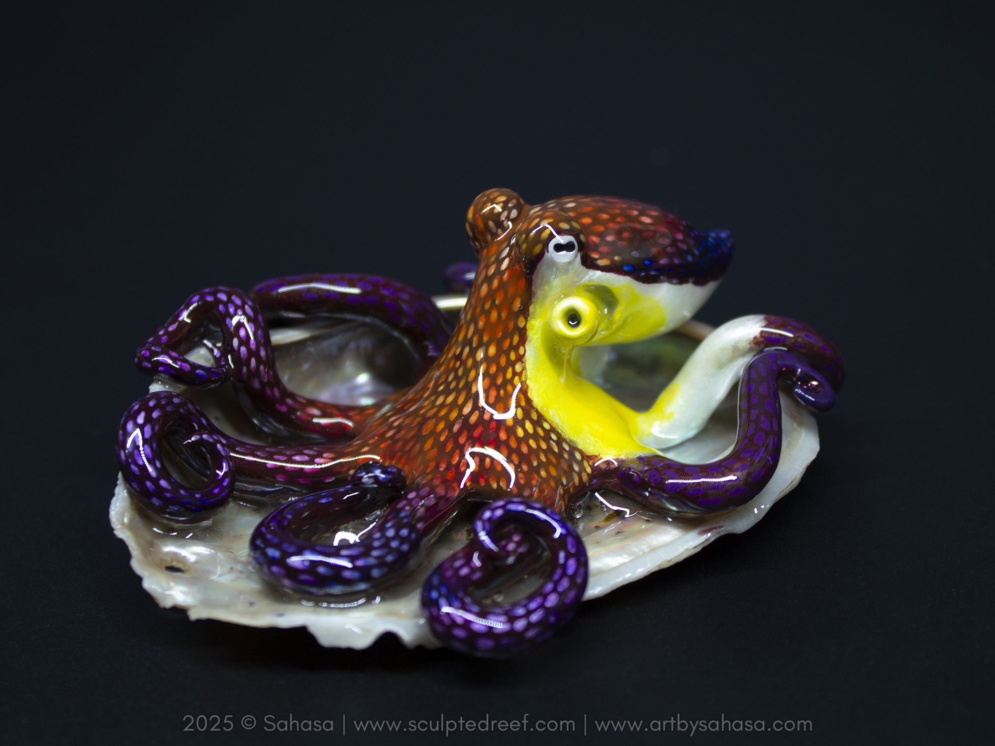 Cheers to the New Year! Meet Elysa, My First Octopus of 2025!