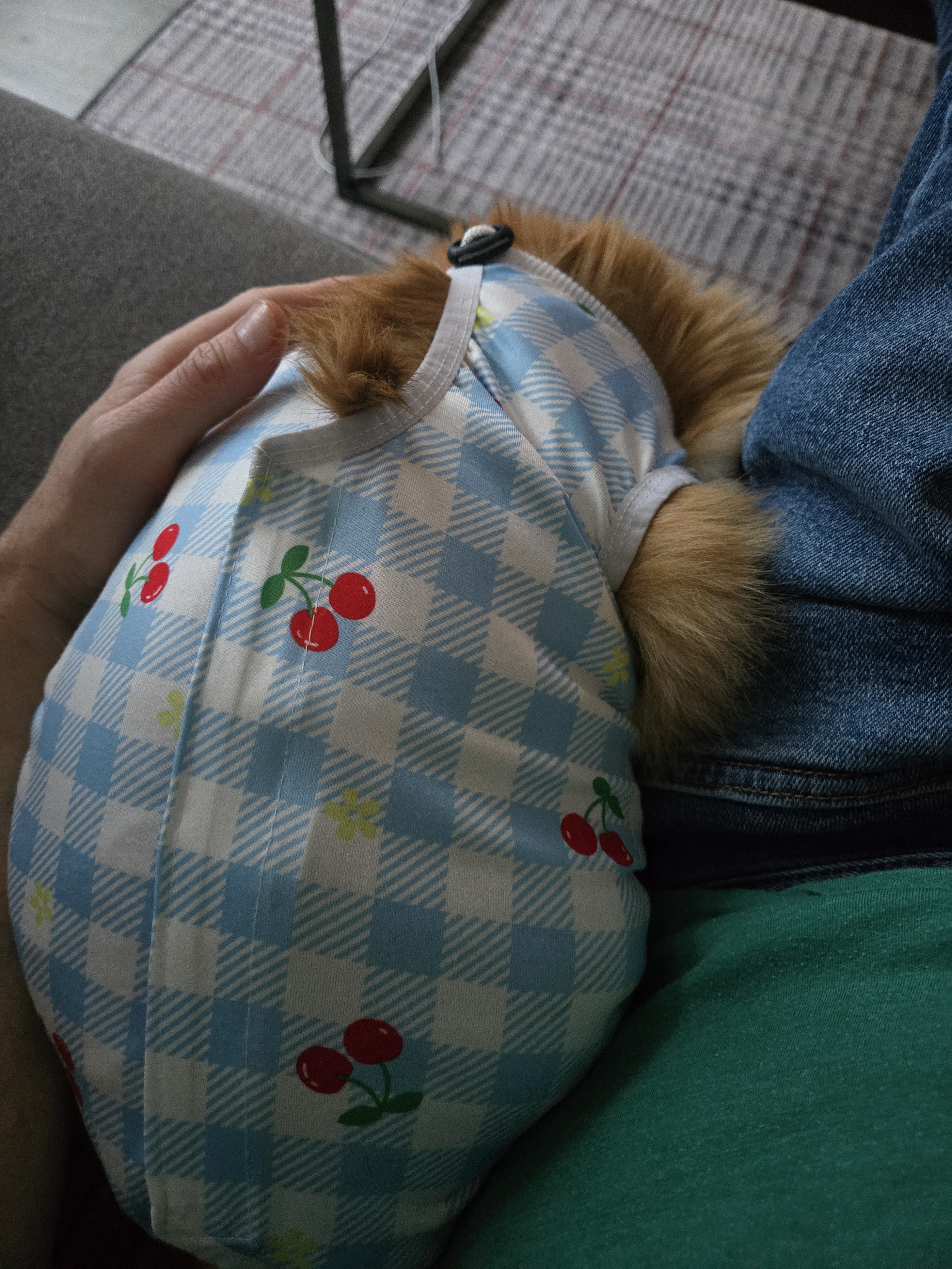 Cuddling with My Favorite Snuggle Buddy