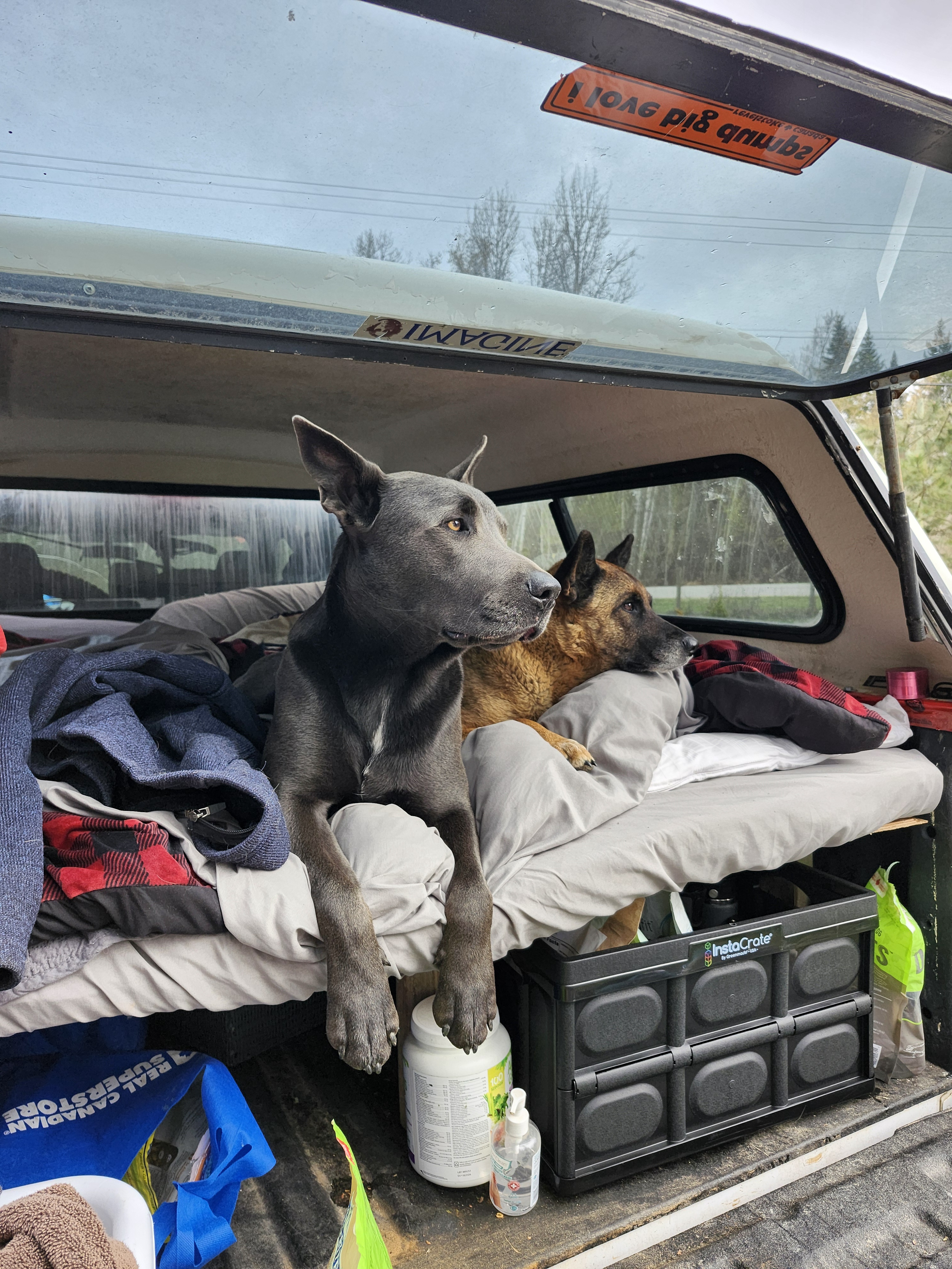 After seven months of truck living, I've finally found my cozy new home!