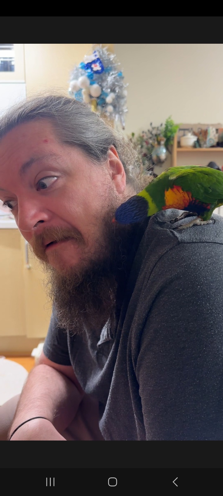 Forgive the selfie, but I wanted to introduce you to my feathered friend, Archie!