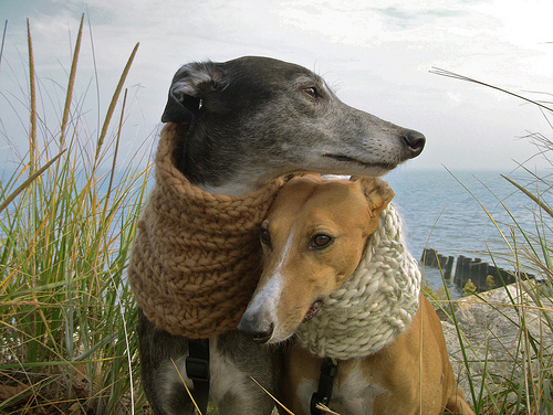 Embracing the power of hugs