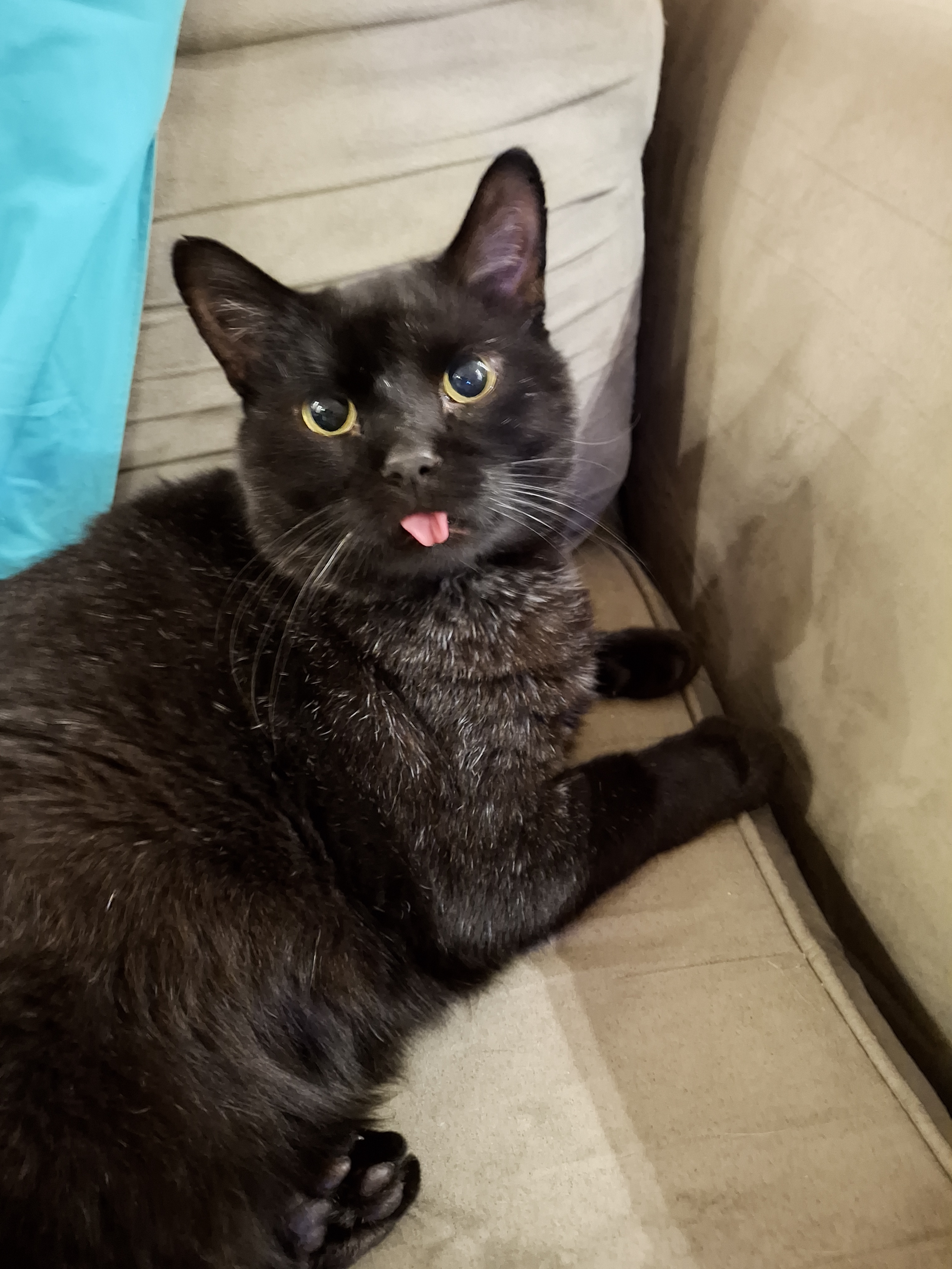 The Heartwarming Rescue of Void Blep