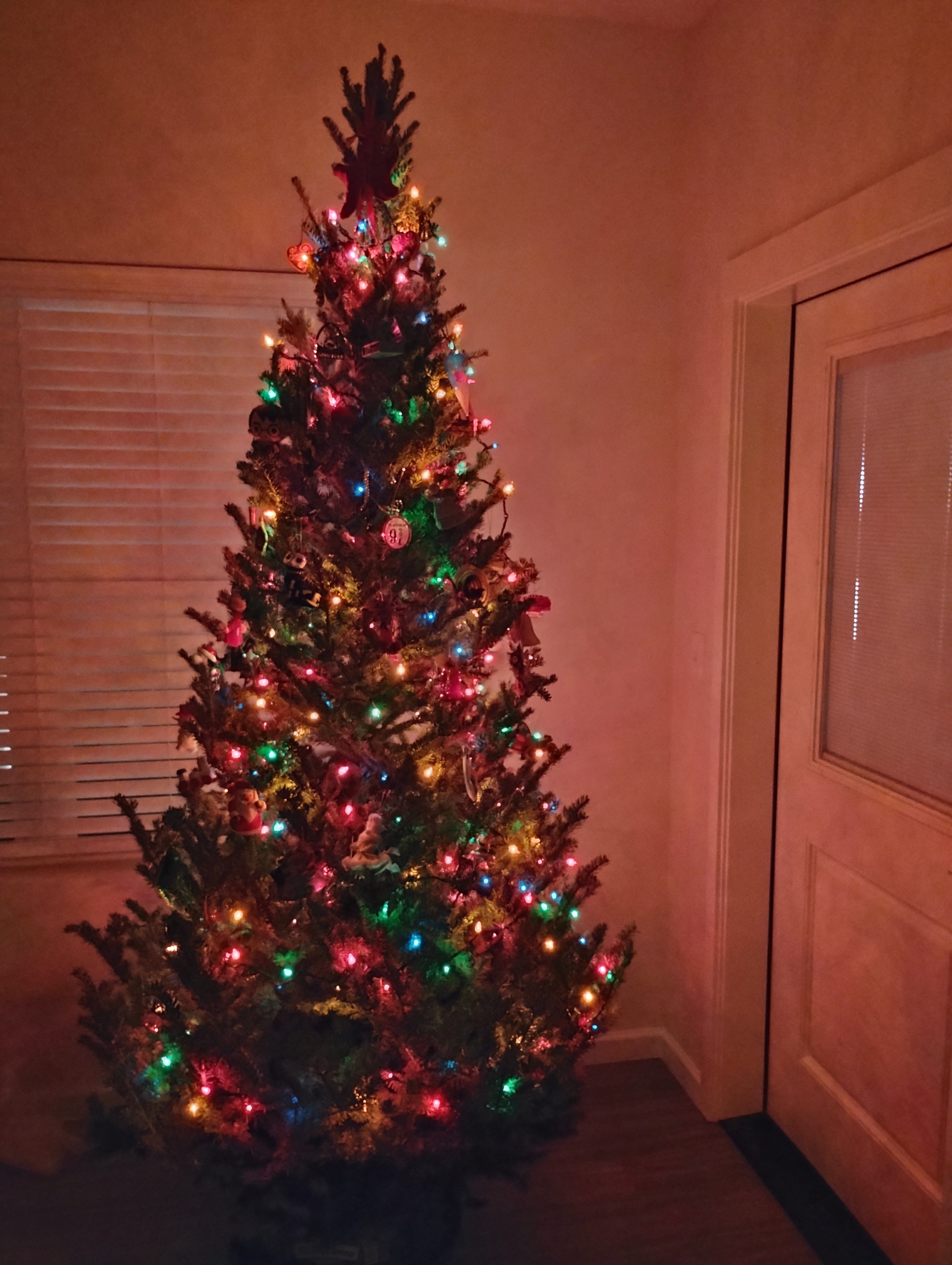 Even the family Christmas Tree is proudly supporting #teamacorn