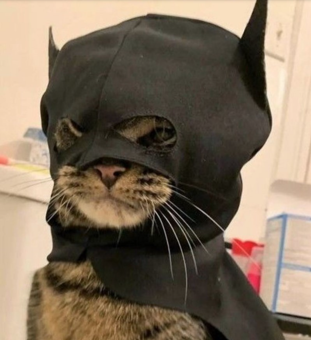 He Truly Is the One and Only Batman