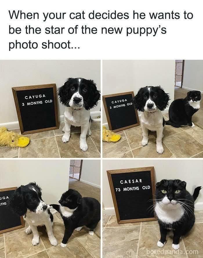 Welcome to my fabulous photo shoot!