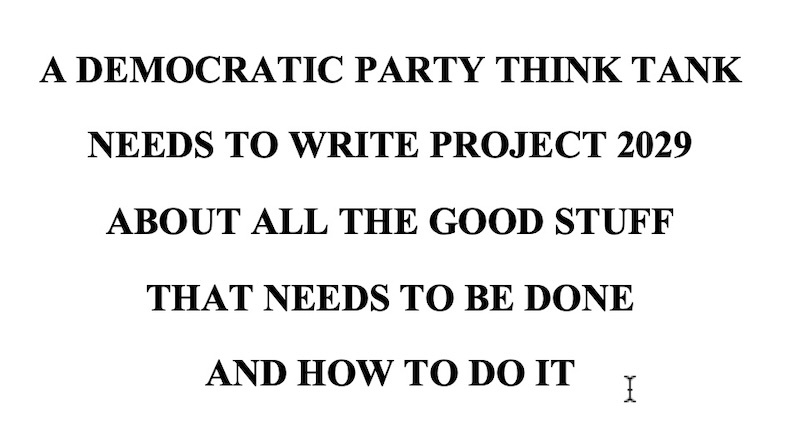 Vision 2029: A New Hope for the Democrats