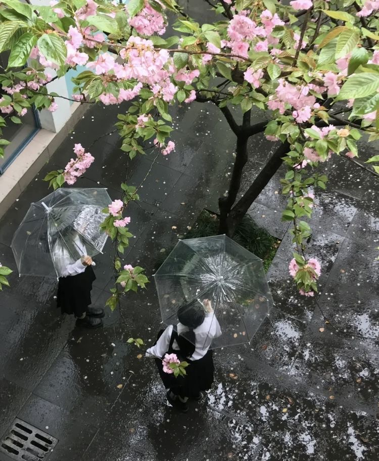 Exploring the Wonders of Japan
