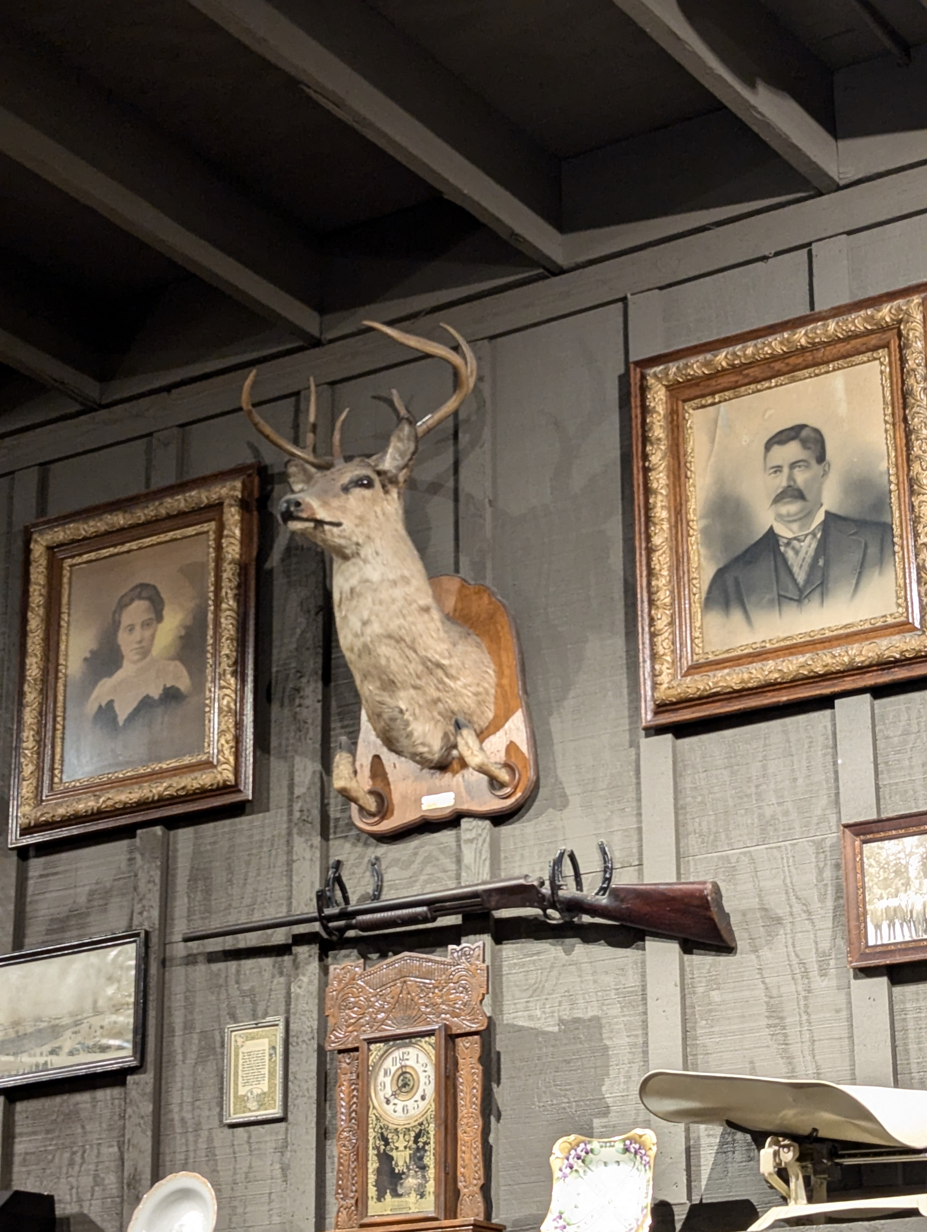 Unusual Sighting: Italian Deer at Cracker Barrel