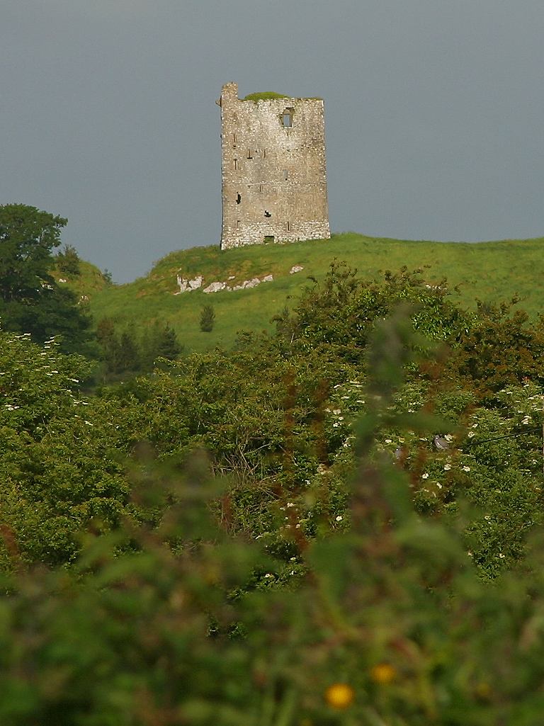 SCP-1211: The Mysterious 'King in the Castle'