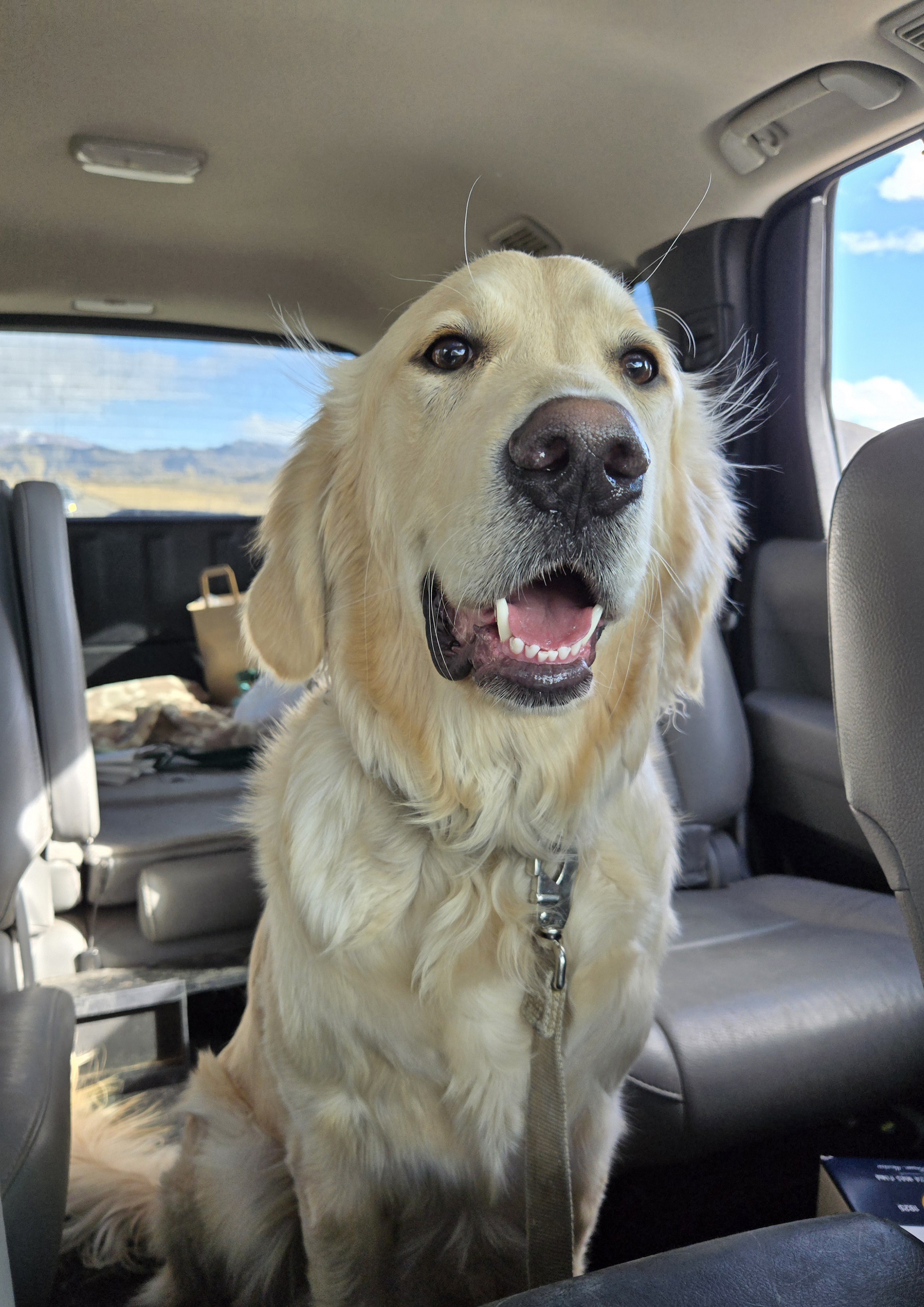 Joyful vibes with Happy Boy Floyd!