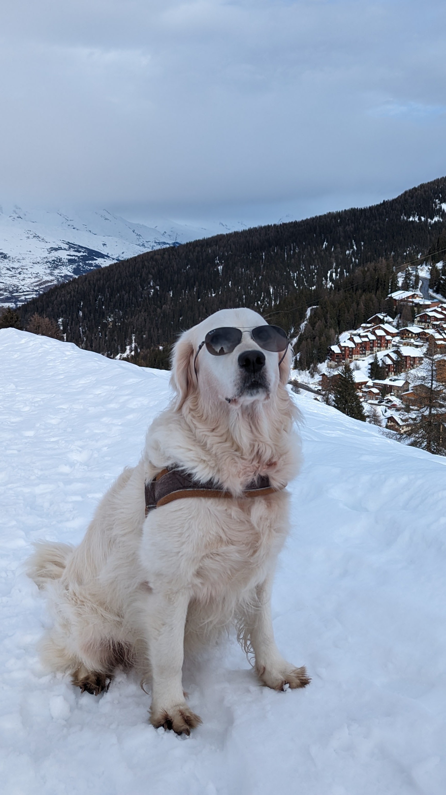Nala's Transformation: The Good Girl Revelation