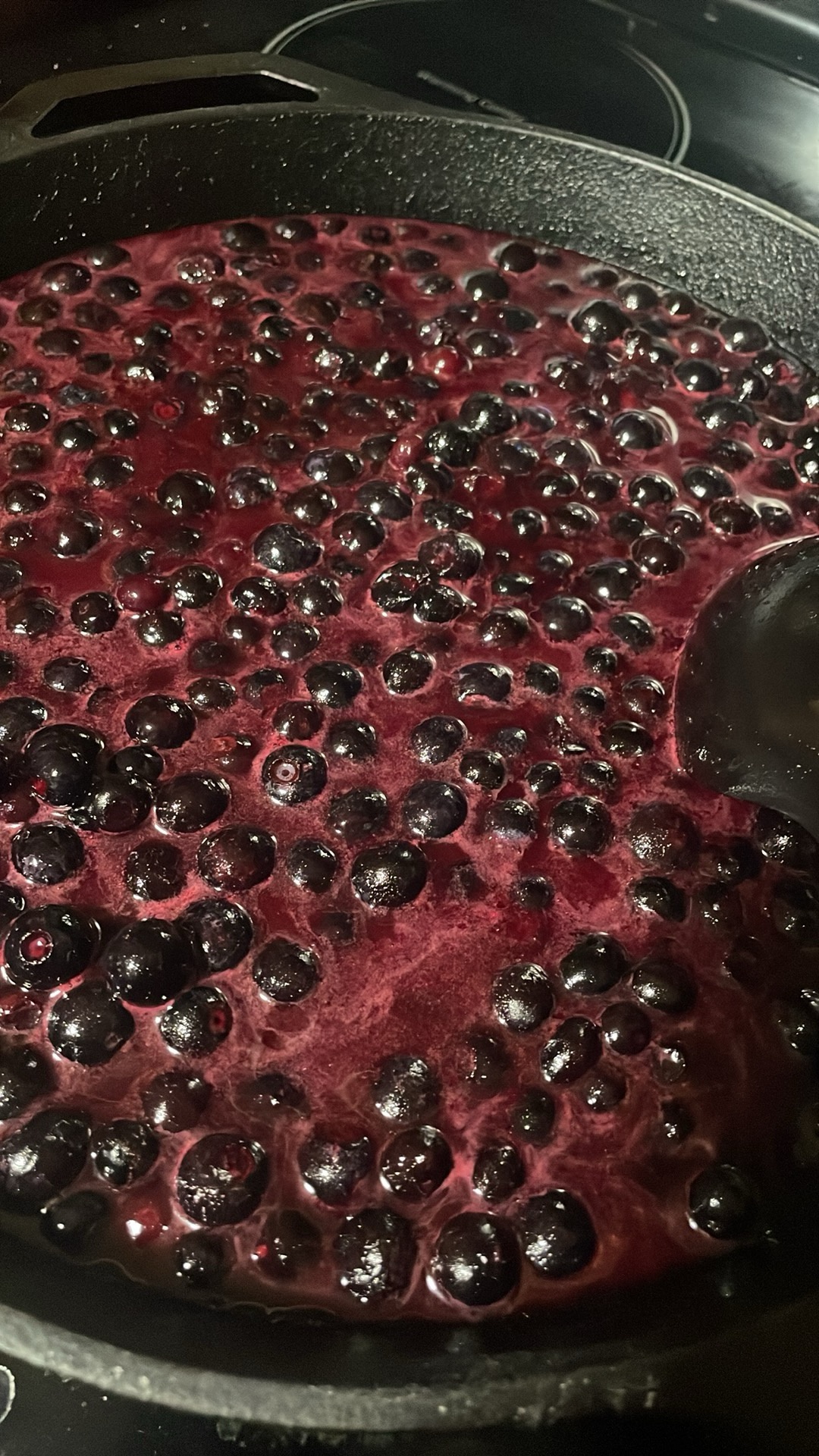 Just Some Blueberries: The Trypophobia Struggle