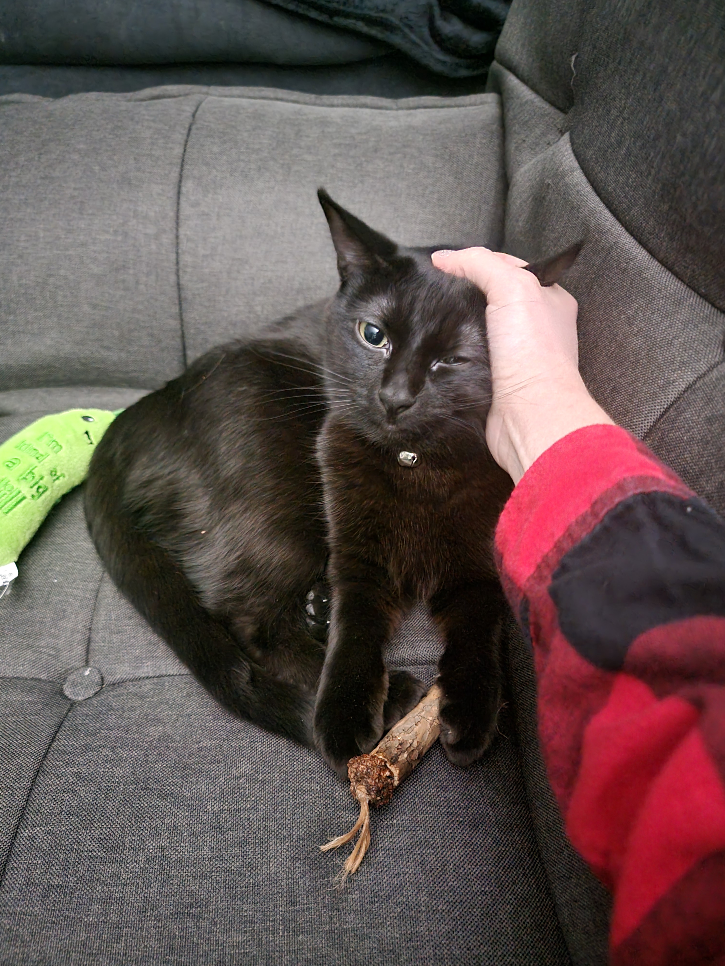 Nyx, what's got you looking so downcast?